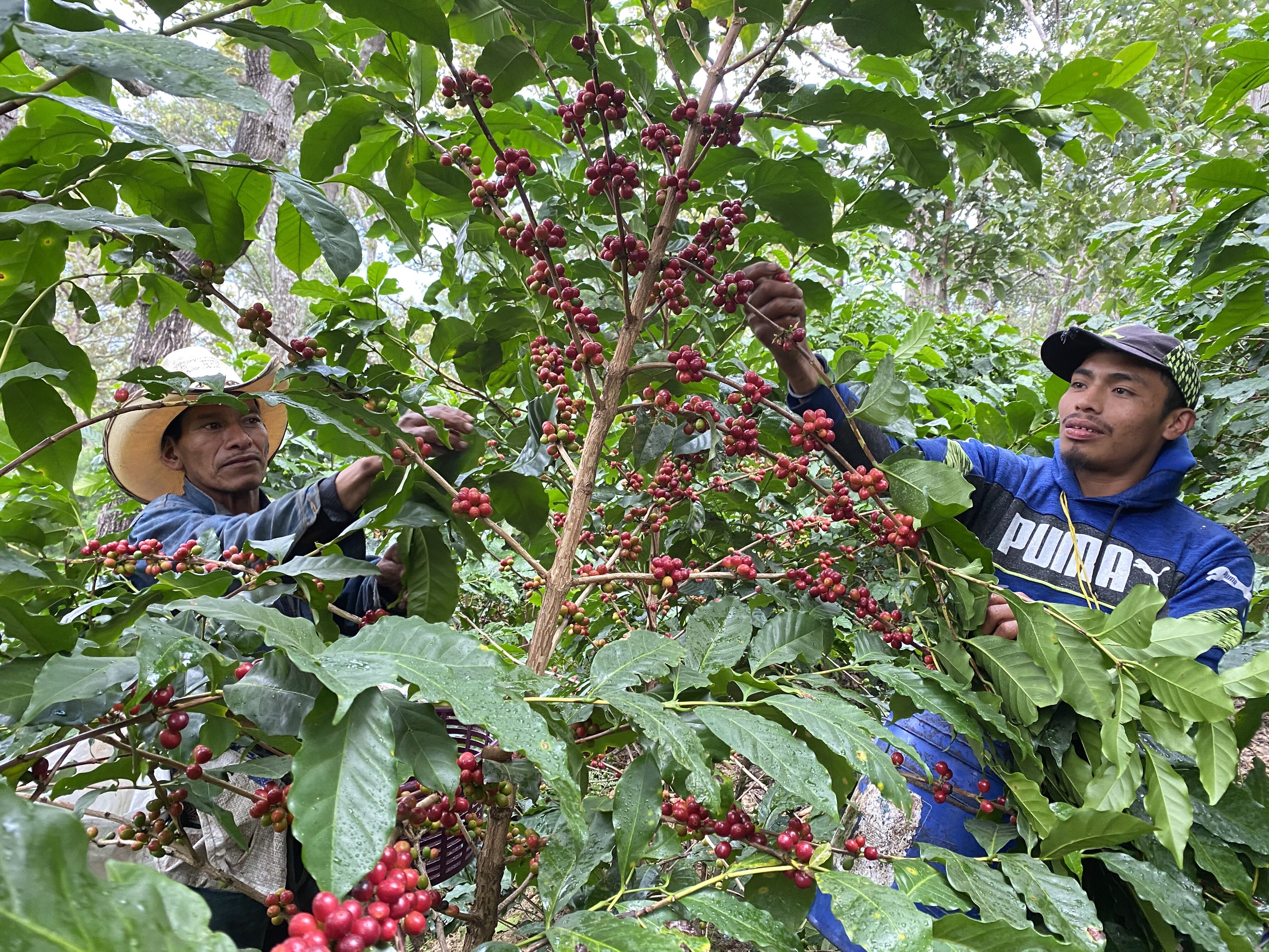 Copia de IMG_8449.HEIC