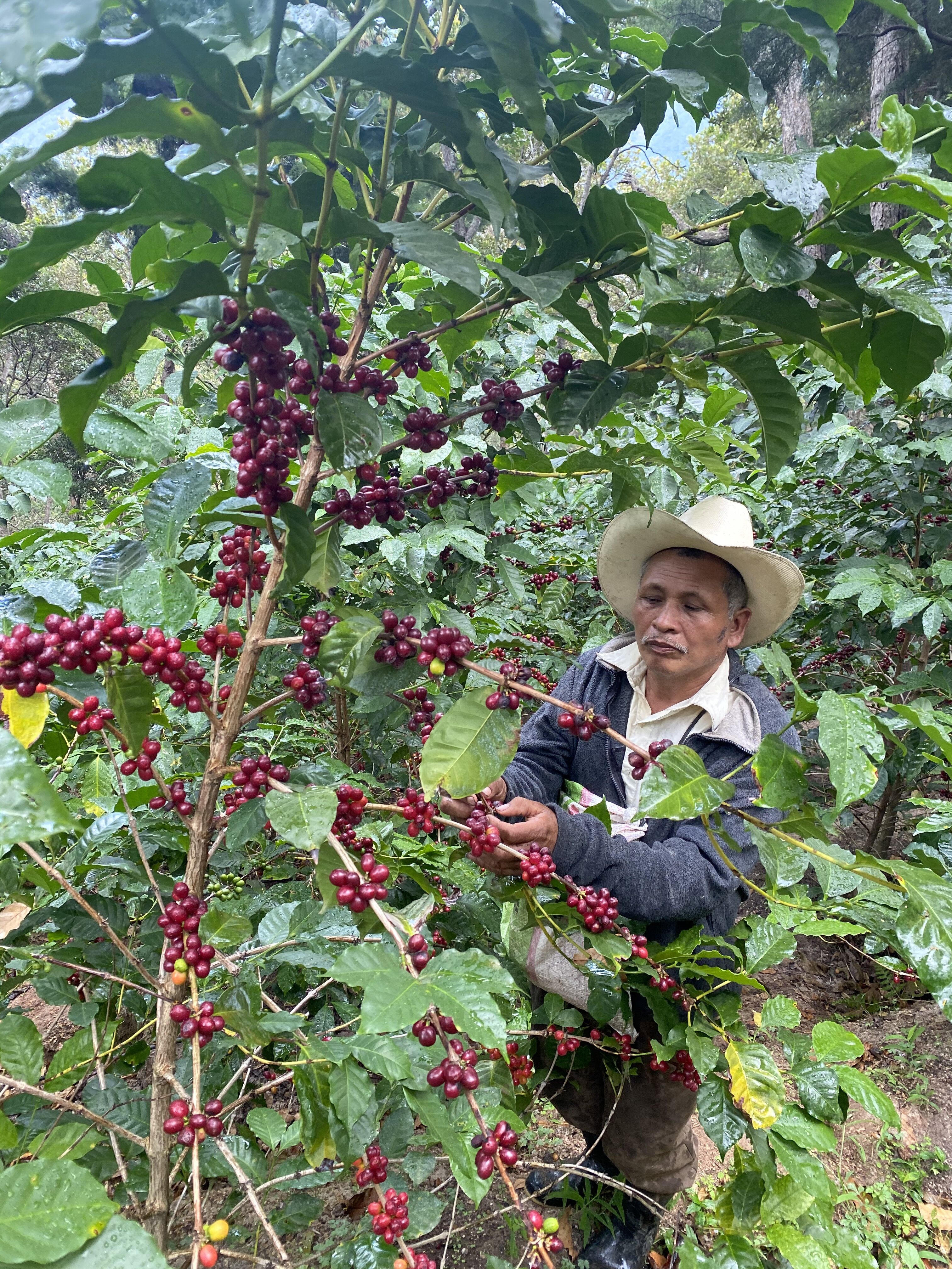 Copia de IMG_8453.HEIC