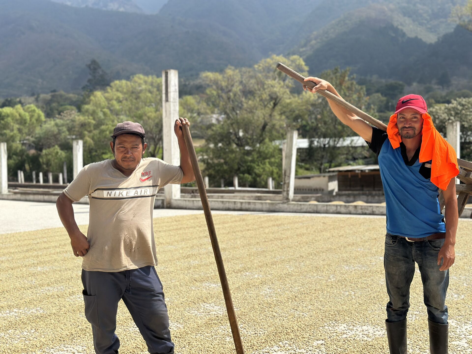 Copia de IMG_8556.heic