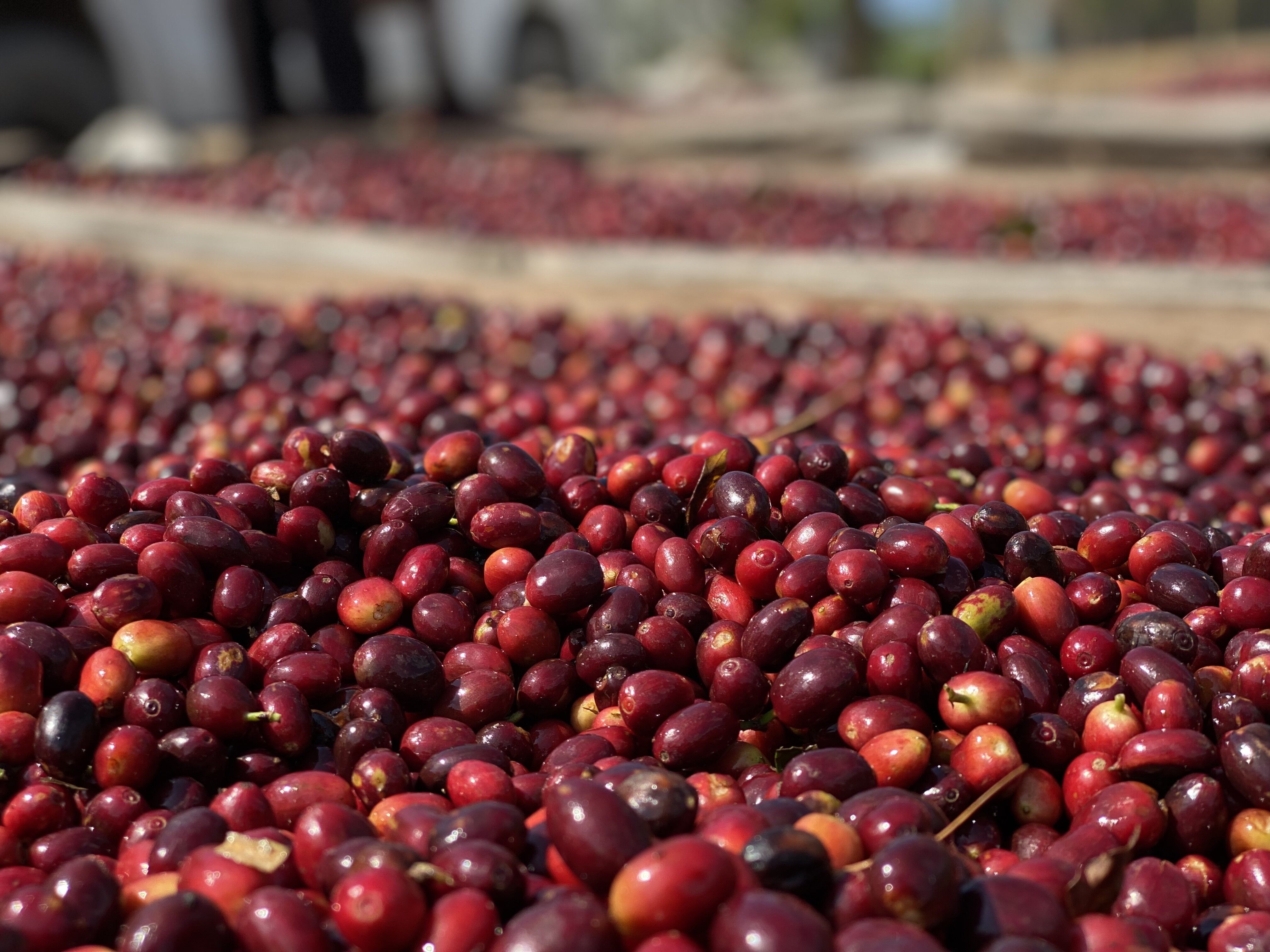 Copia de IMG_0503.heic