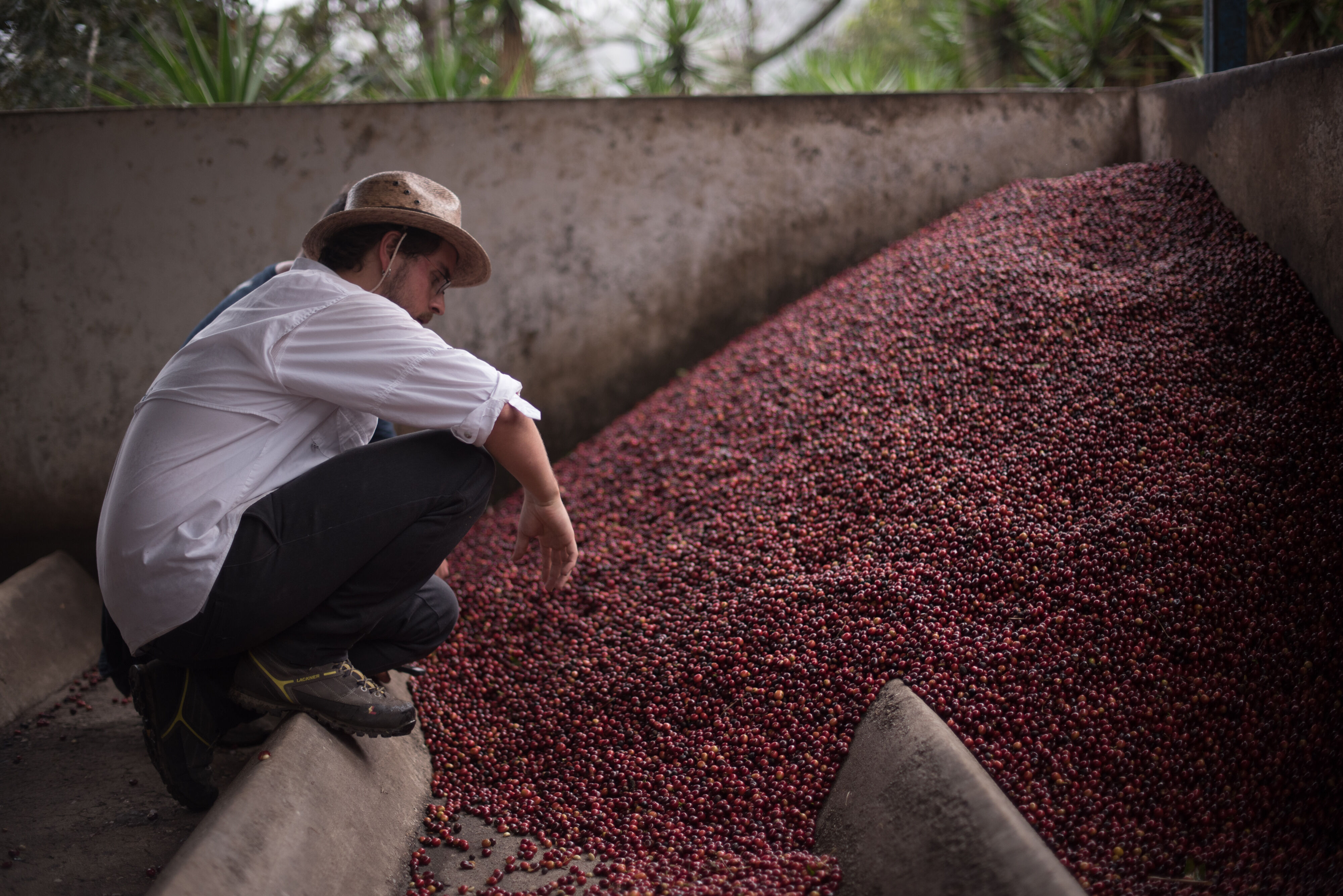 Meet Los Amigos_01.jpg