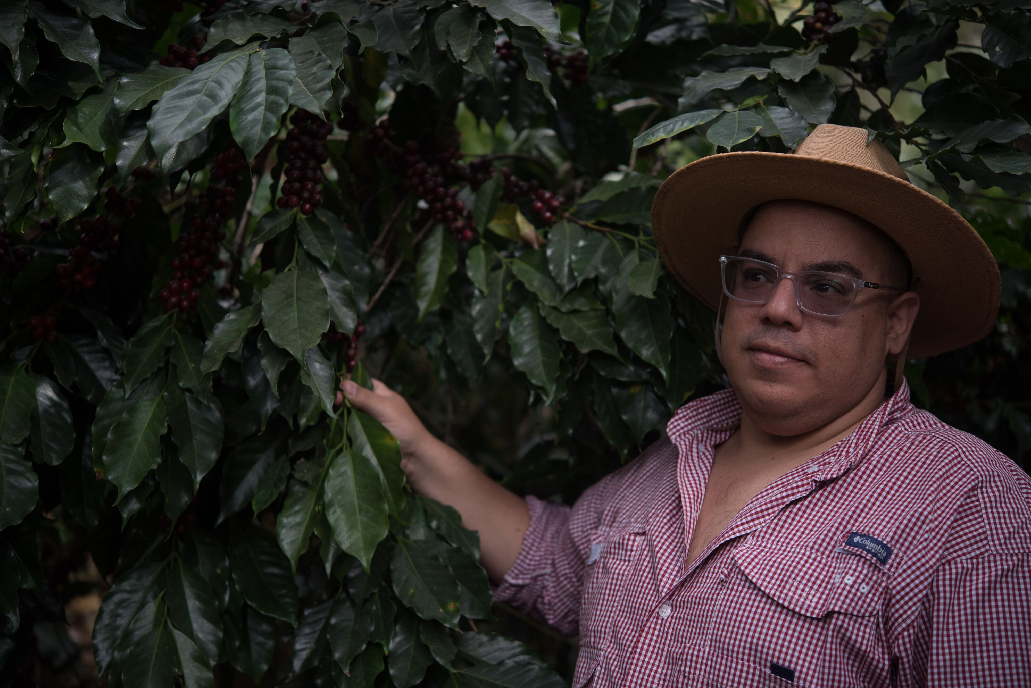 Meet Los Amigos_Finca Vizcaya_SBP5807.jpg .jpg