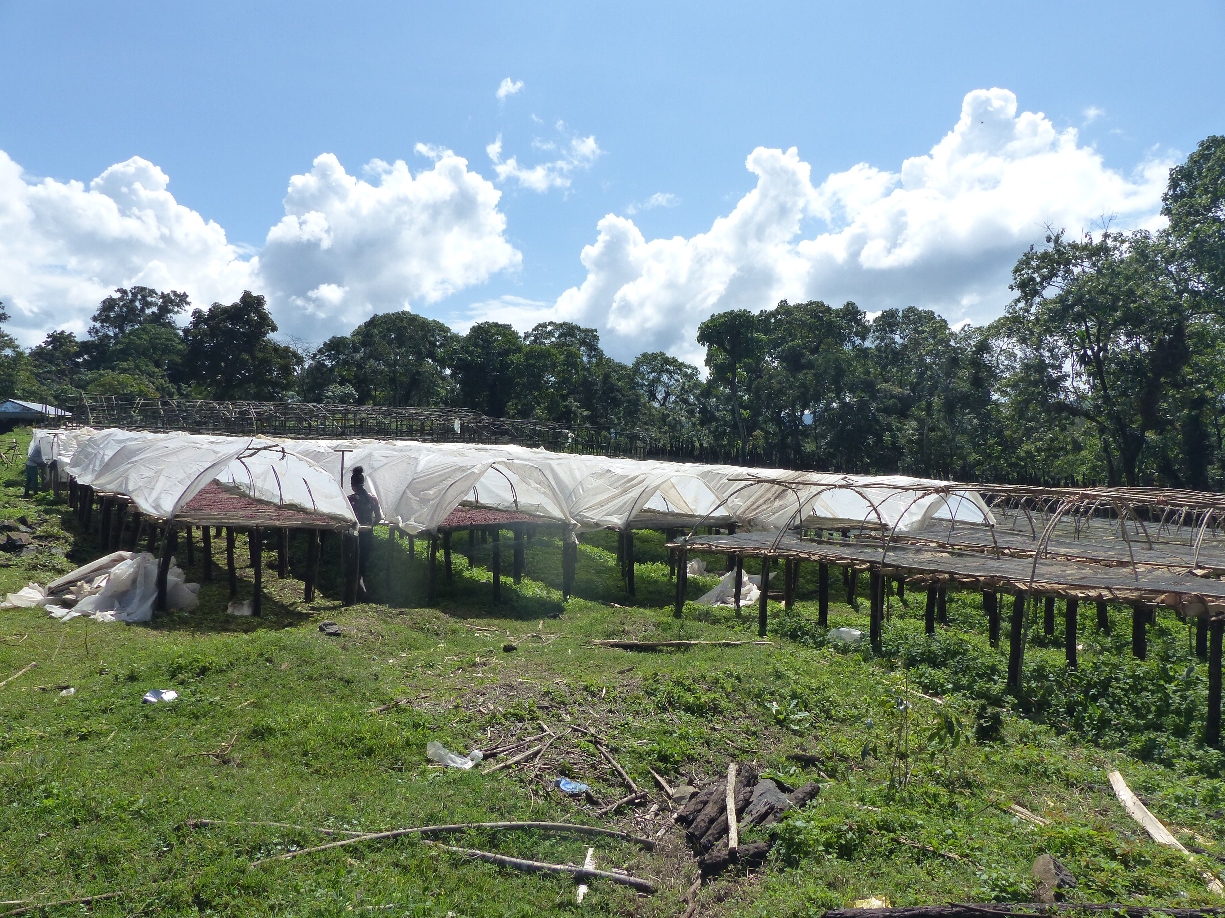 gushe-buna--drying-bed-construction-3_51749296509_o.jpg