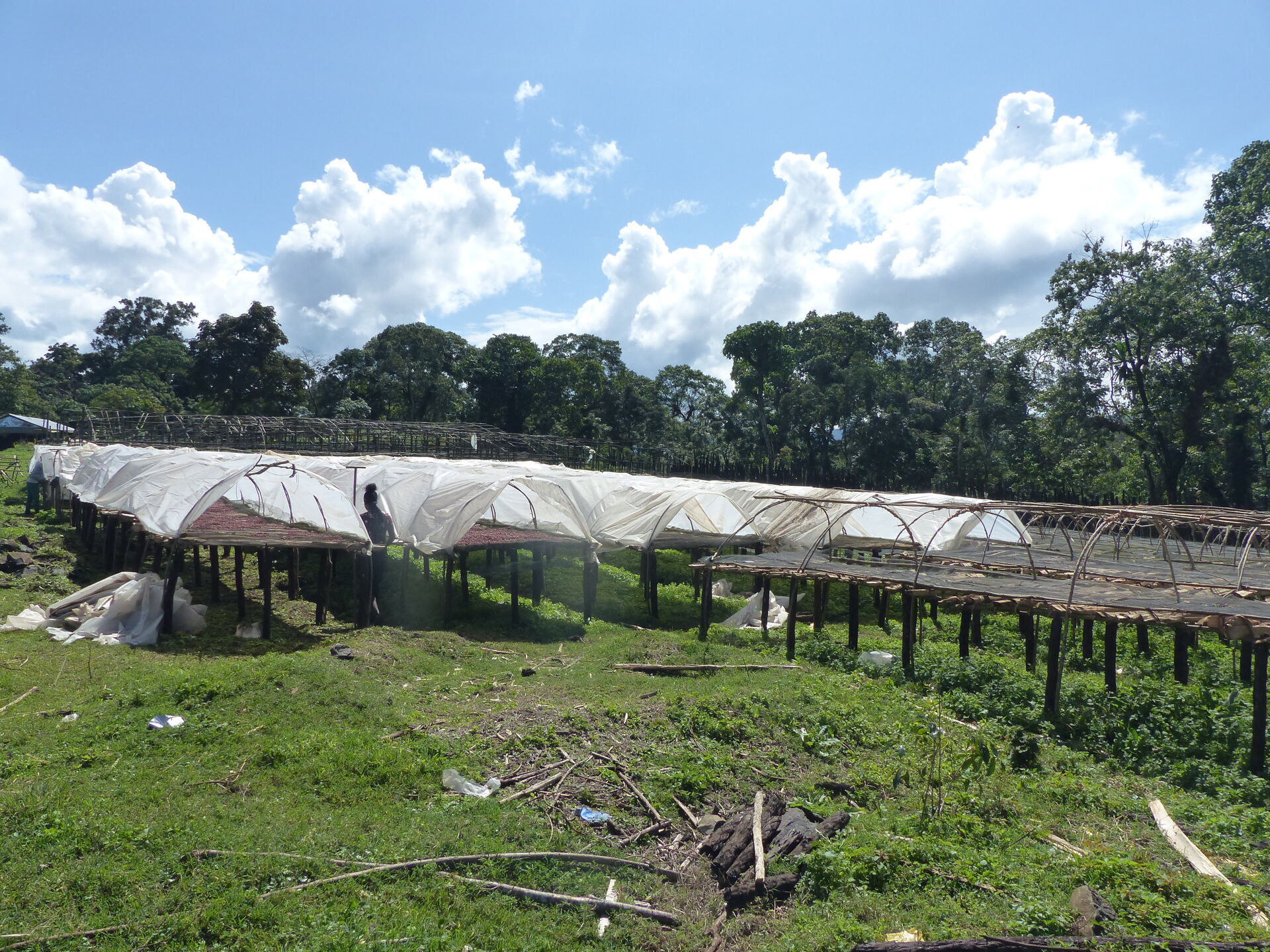 gushe-buna--drying-bed-construction-3_51749296509_o.jpg