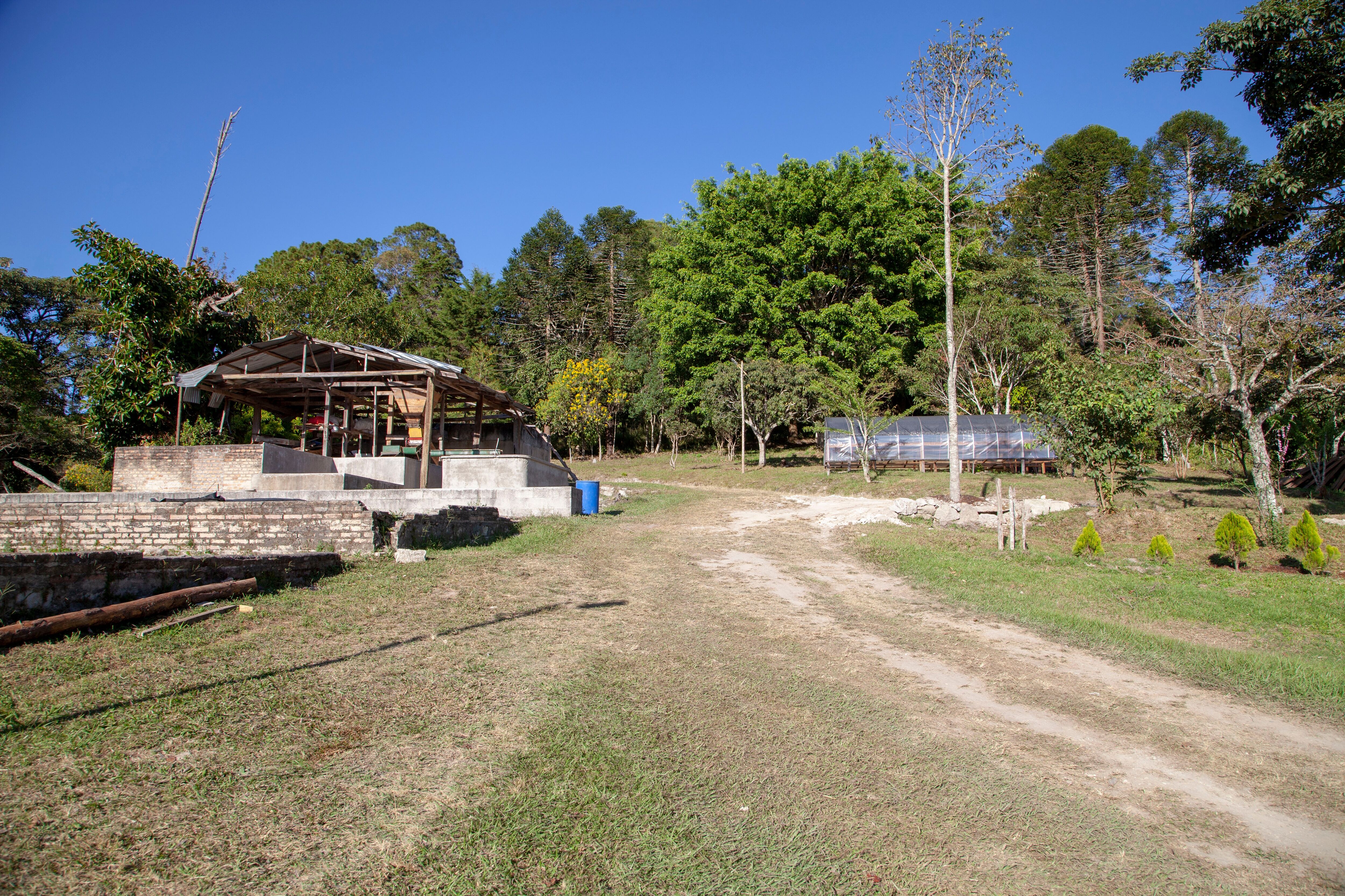 honduras---clave-del-sol_50900788508_o.jpg