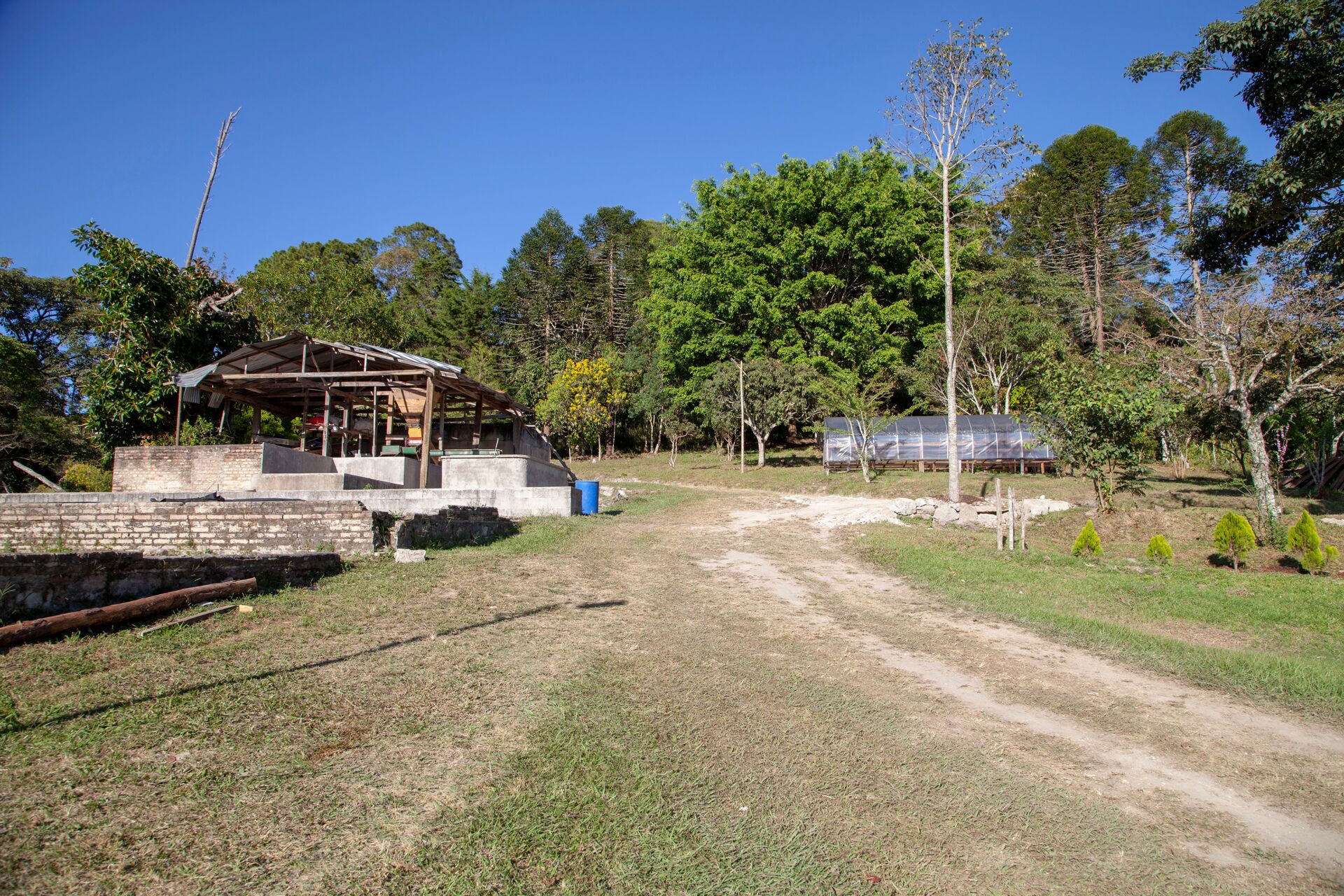 honduras---clave-del-sol_50900788508_o.jpg