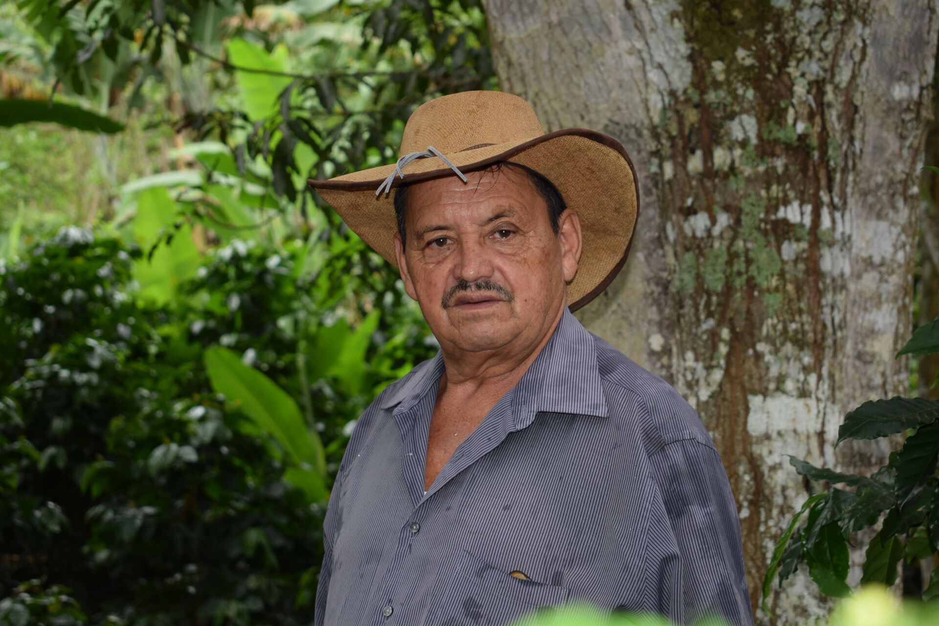 Anastacio Argueta (3).jpg