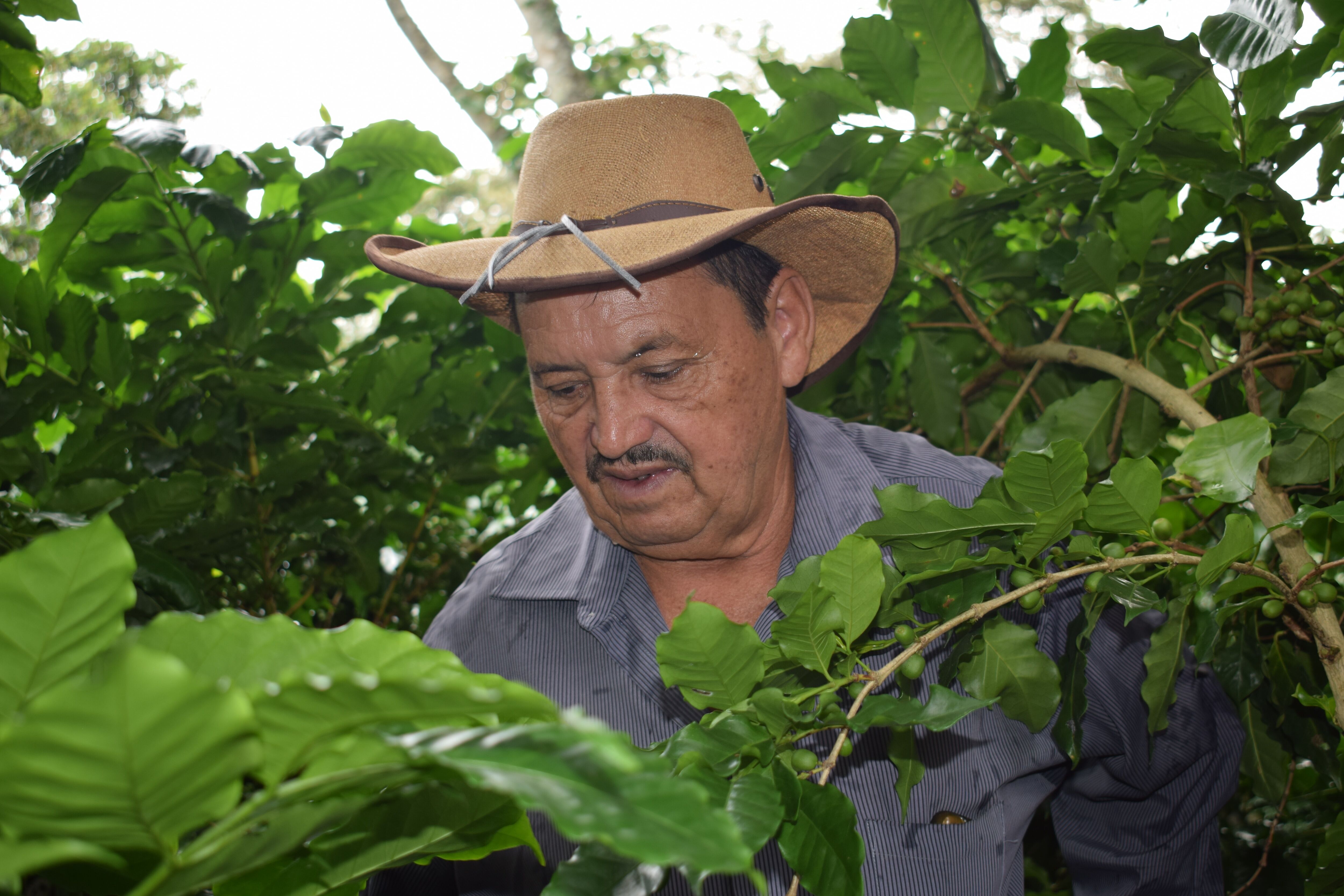 Anastacio Argueta (4).jpg