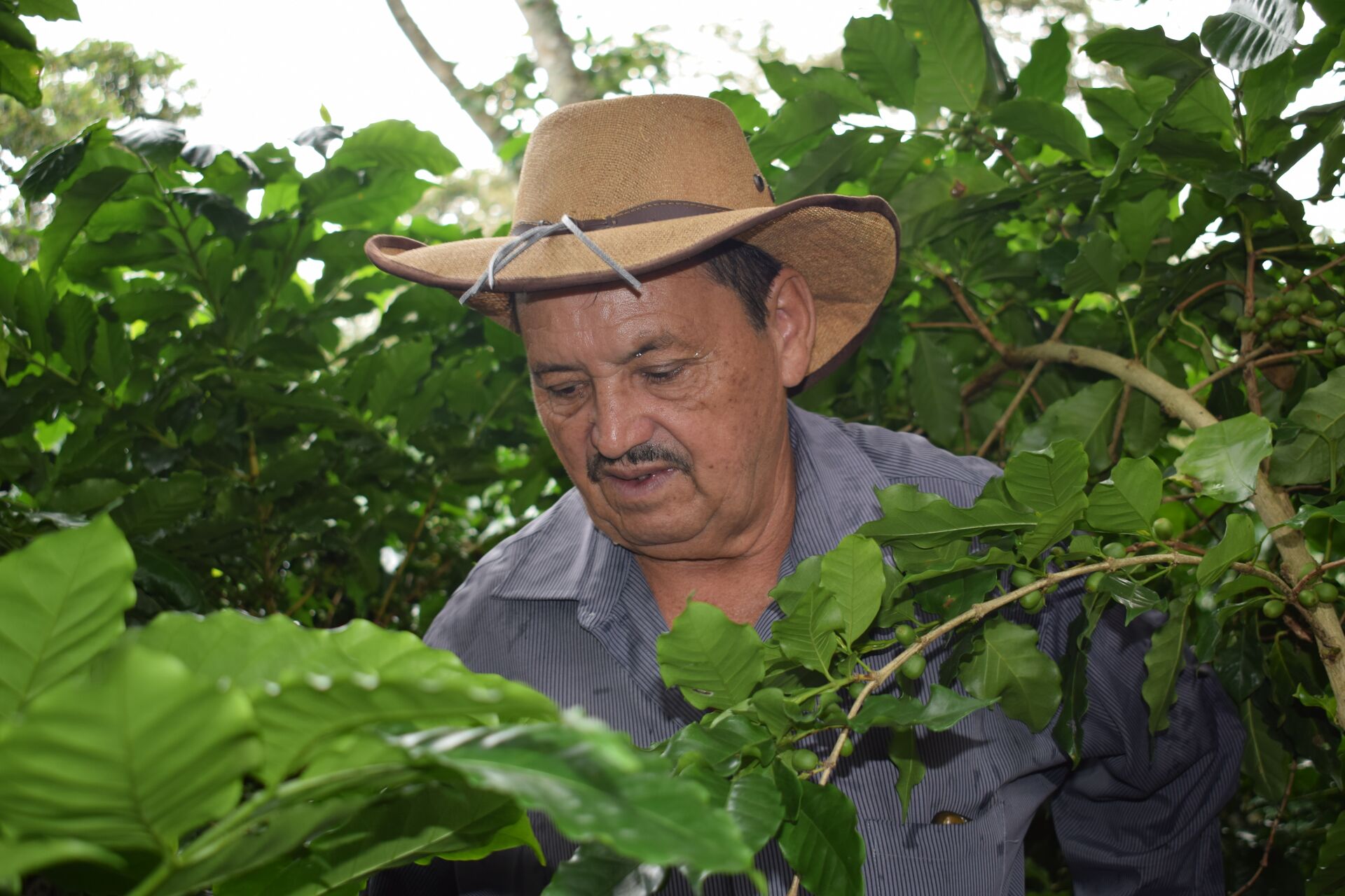 Anastacio Argueta (4).jpg
