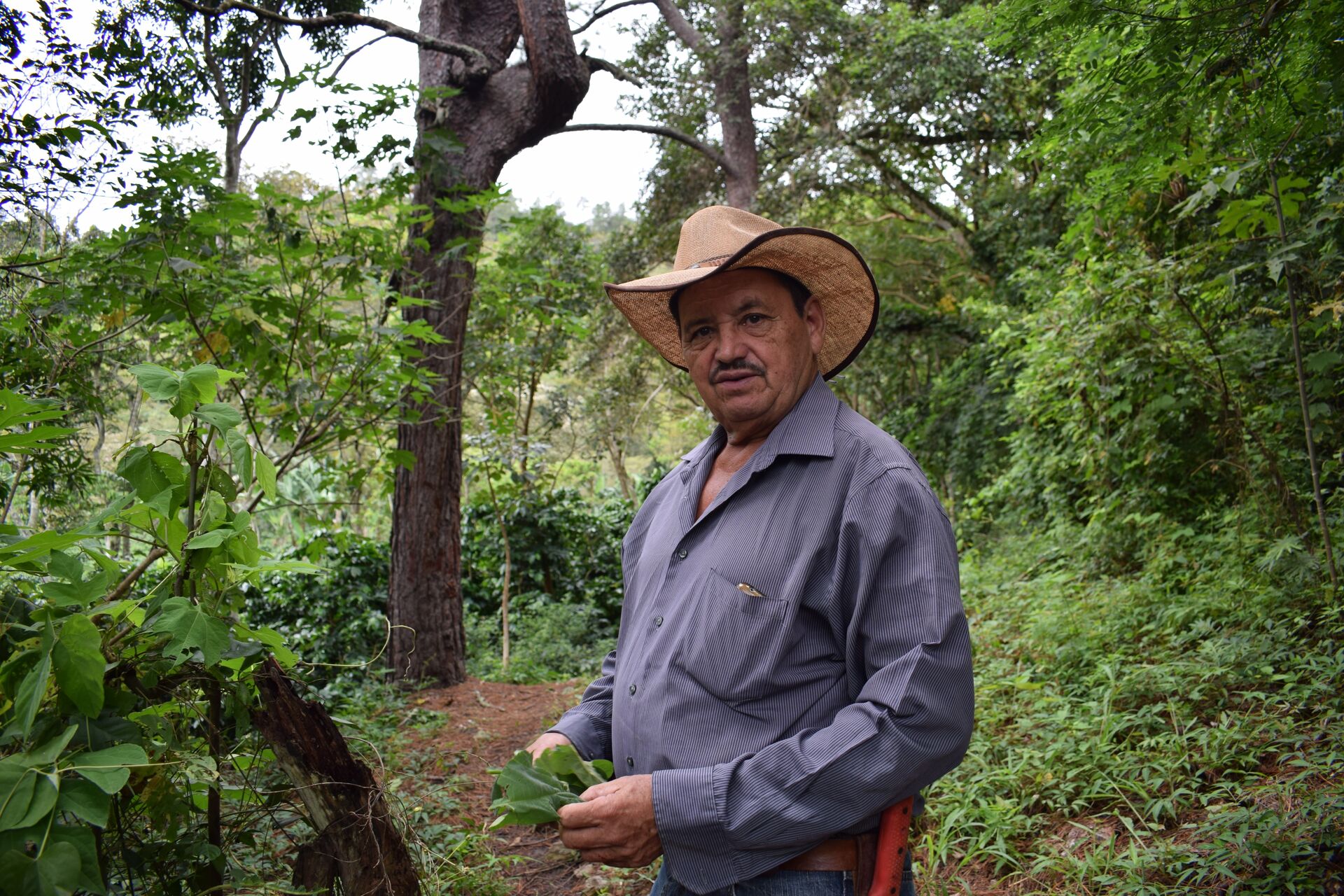 Anastacio Argueta (5).jpg