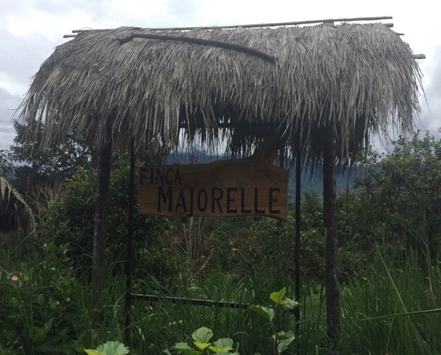 Image1.jpg