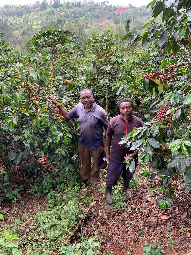 mossaan-estate-gakima-nyeri_51752766951_o.jpg
