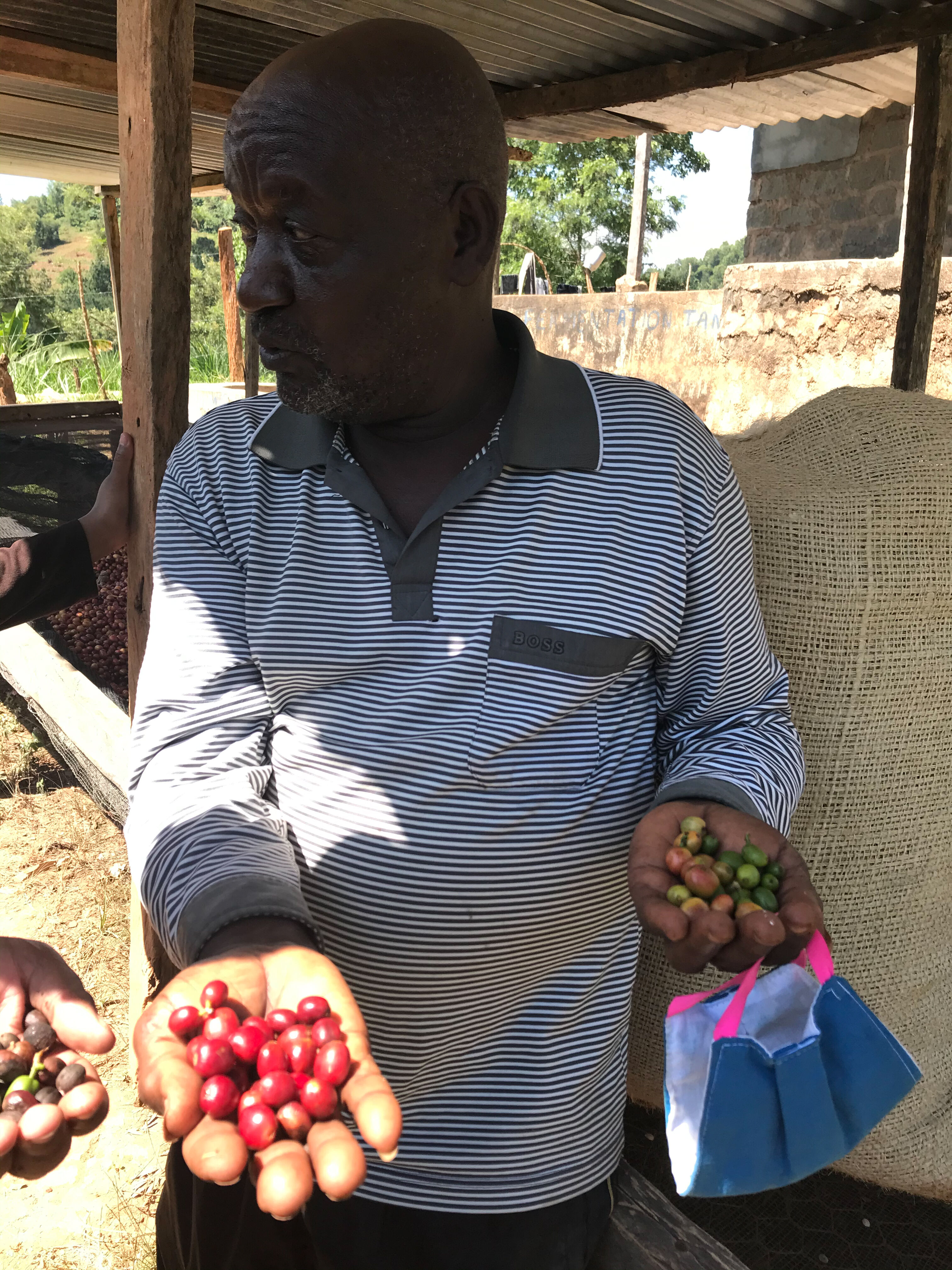 alex-mwangi_51629236742_o.jpg