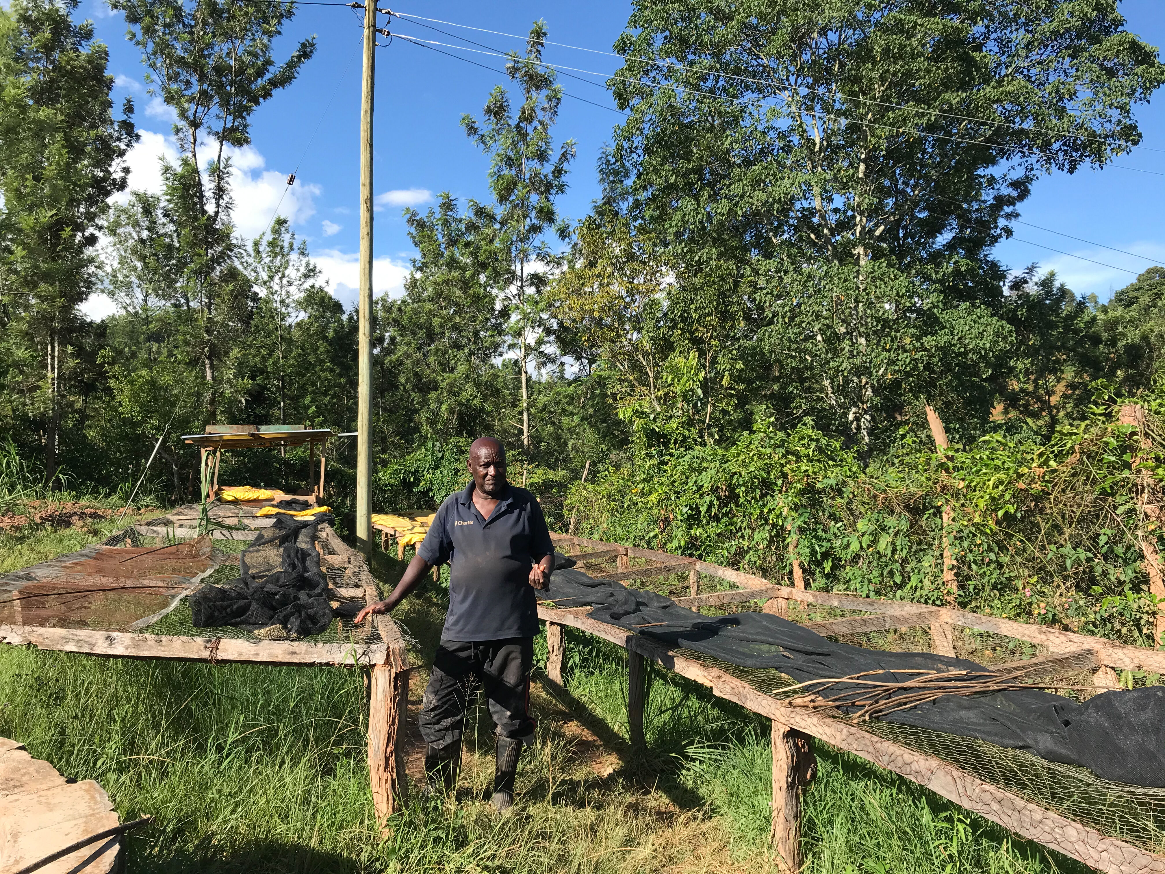 alex-mwangi_51630062976_o.jpg