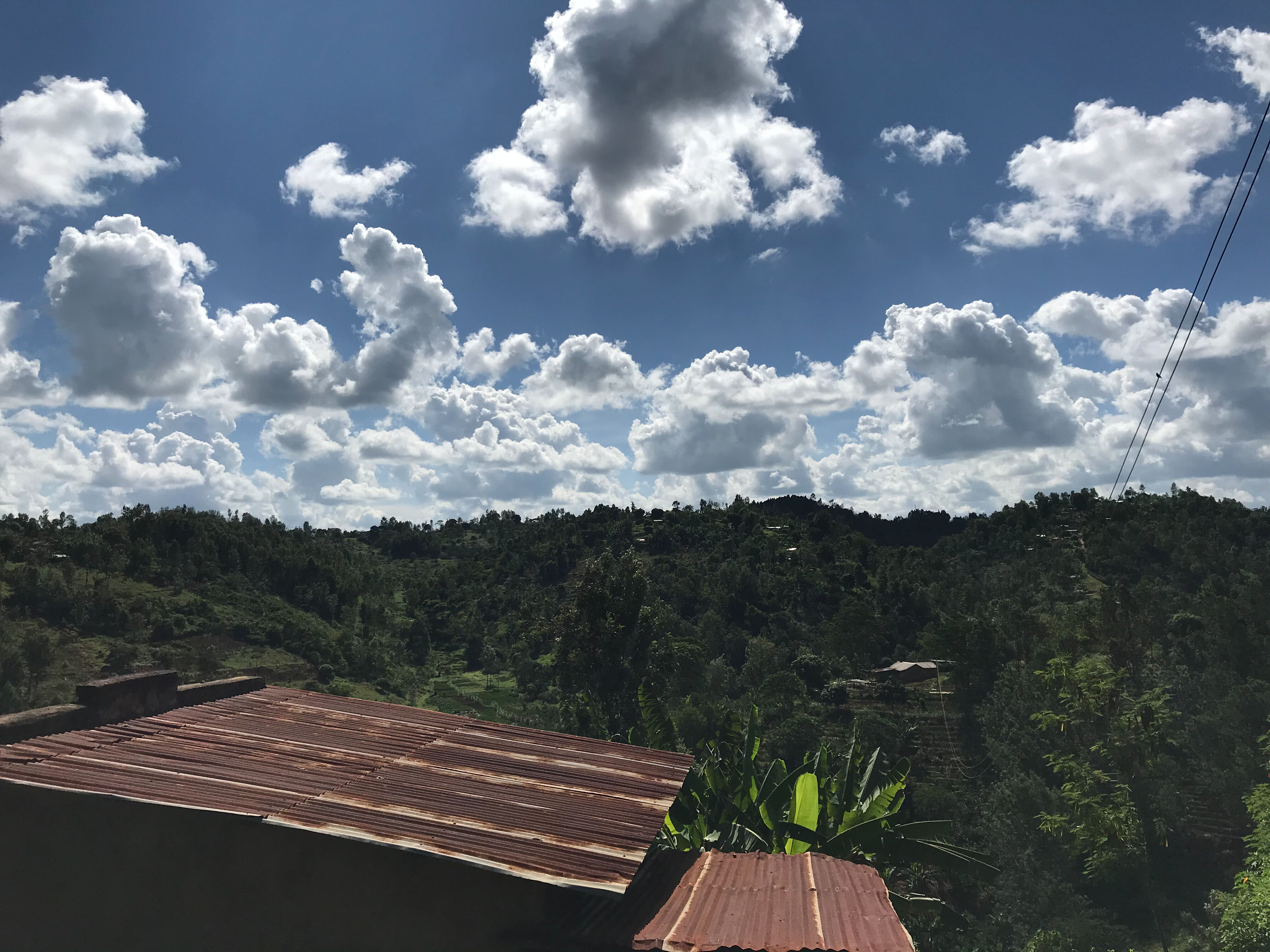 alex-mwangi_51630064106_o.jpg