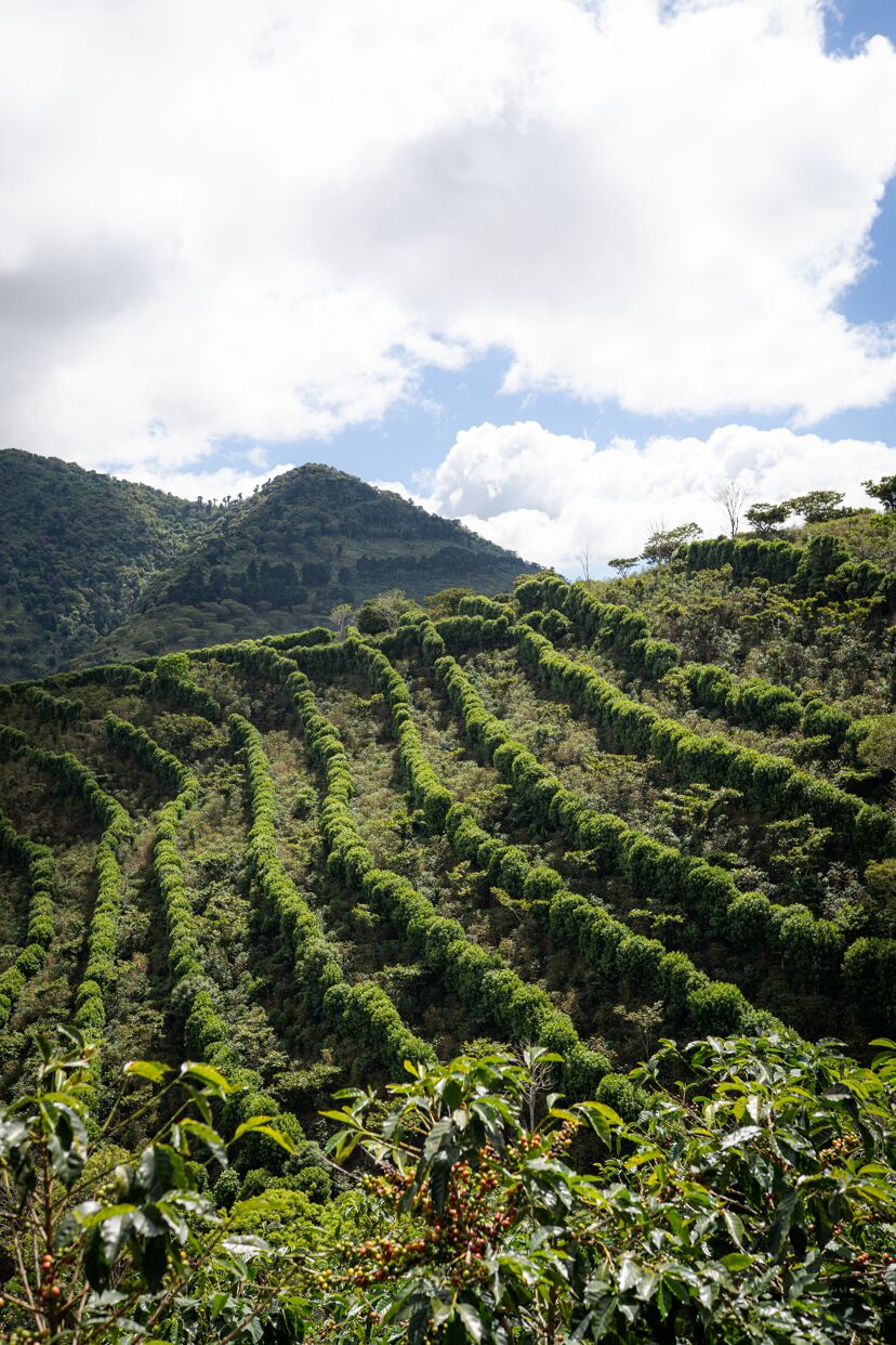 la cumbre_August 23 (10).jpg