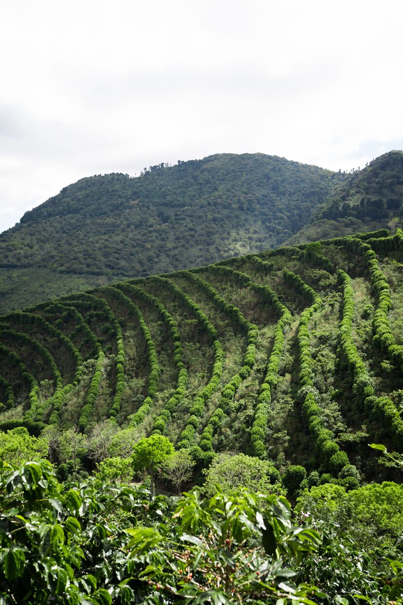 la cumbre_August 23 (11).jpg