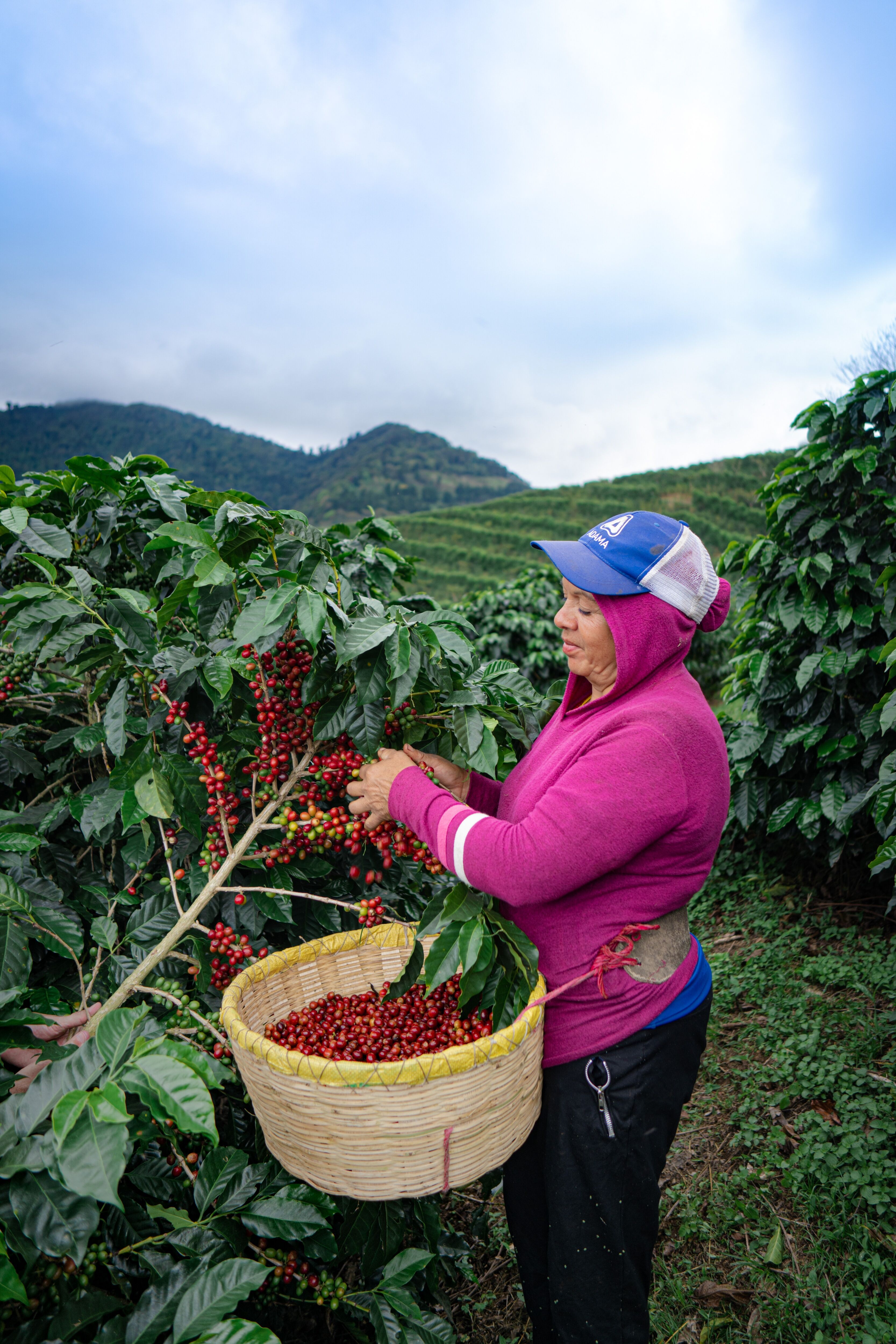 la cumbre_August 23 (12).JPG