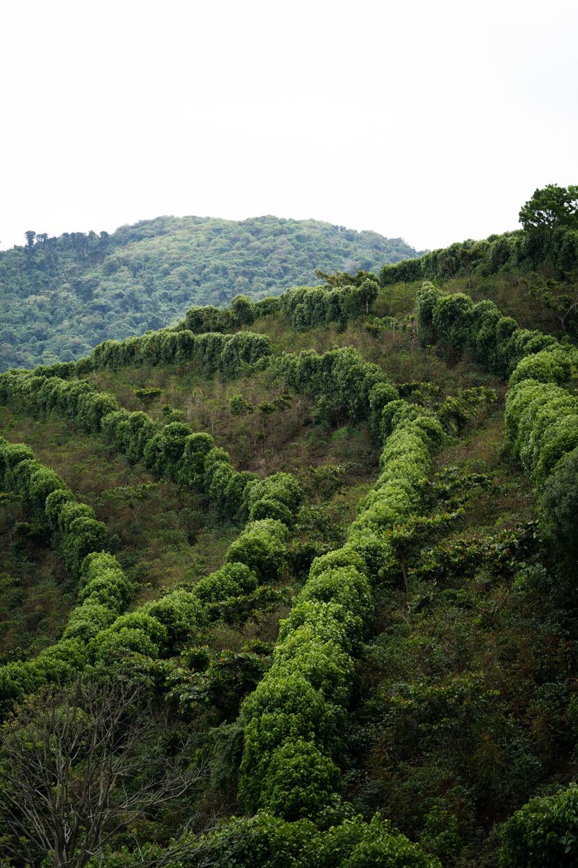 la cumbre_August 23 (3).jpg