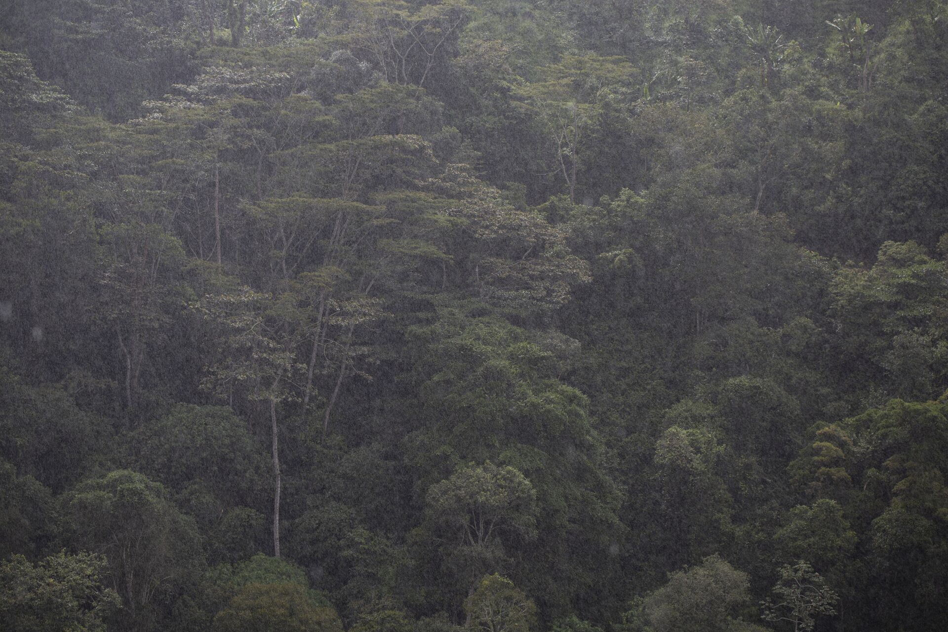 2019.12.10_La Leona, Gaitania. Tres Rayas. Nasa, Colombia.-100.jpg