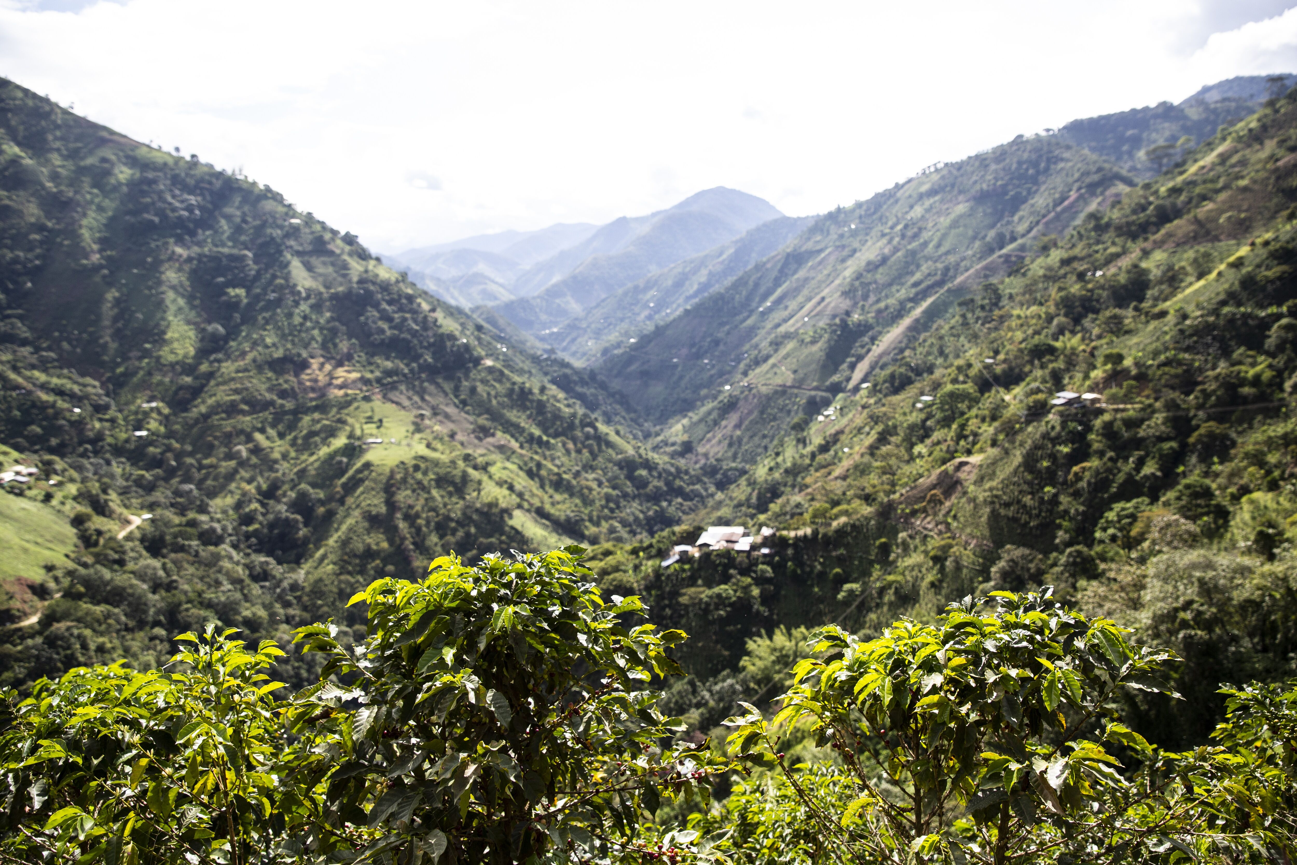 2019.12.10_La Leona, Gaitania. Tres Rayas. Nasa, Colombia.-104.jpg