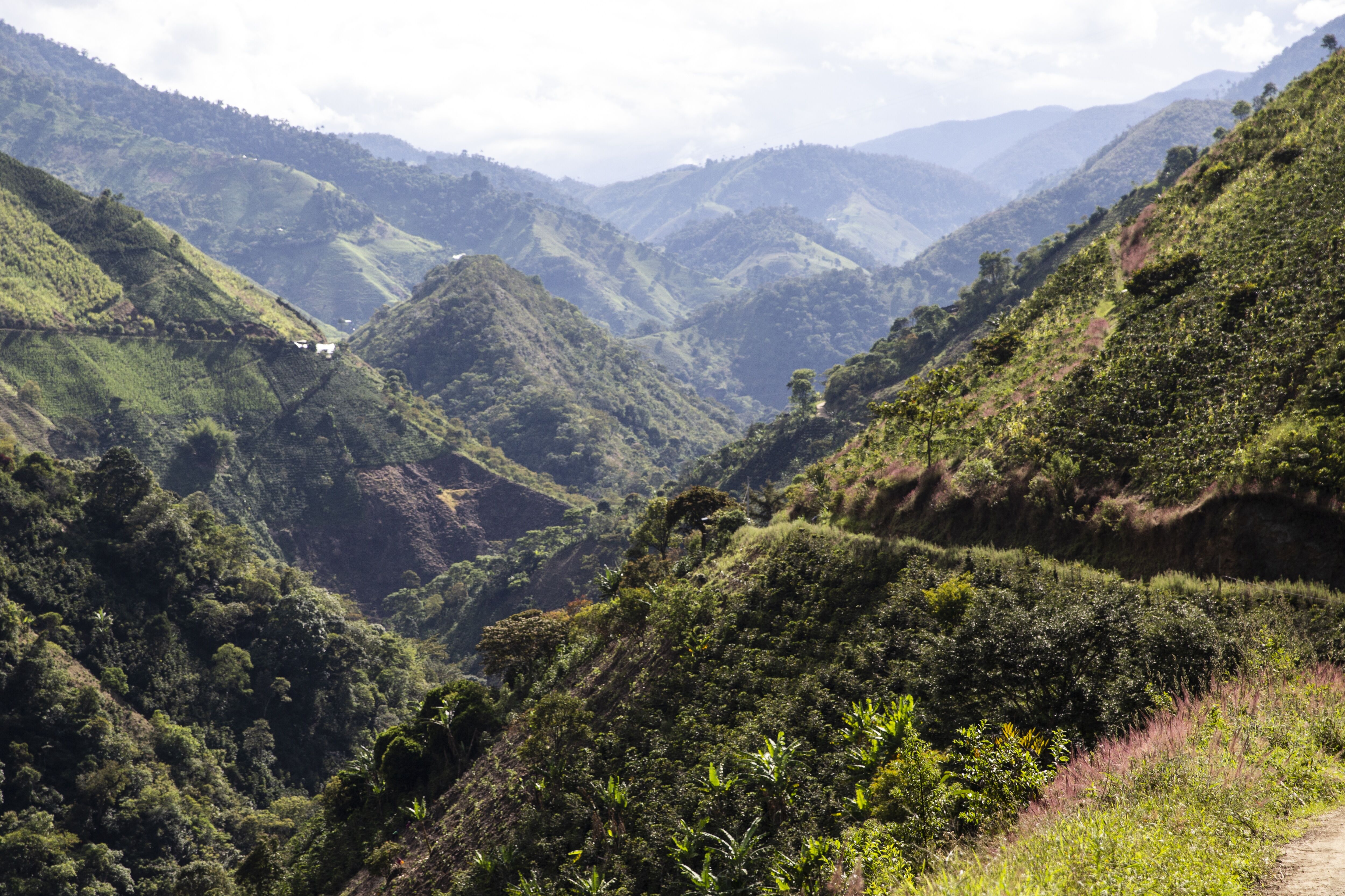 2019.12.10_La Leona, Gaitania. Tres Rayas. Nasa, Colombia.-106.jpg