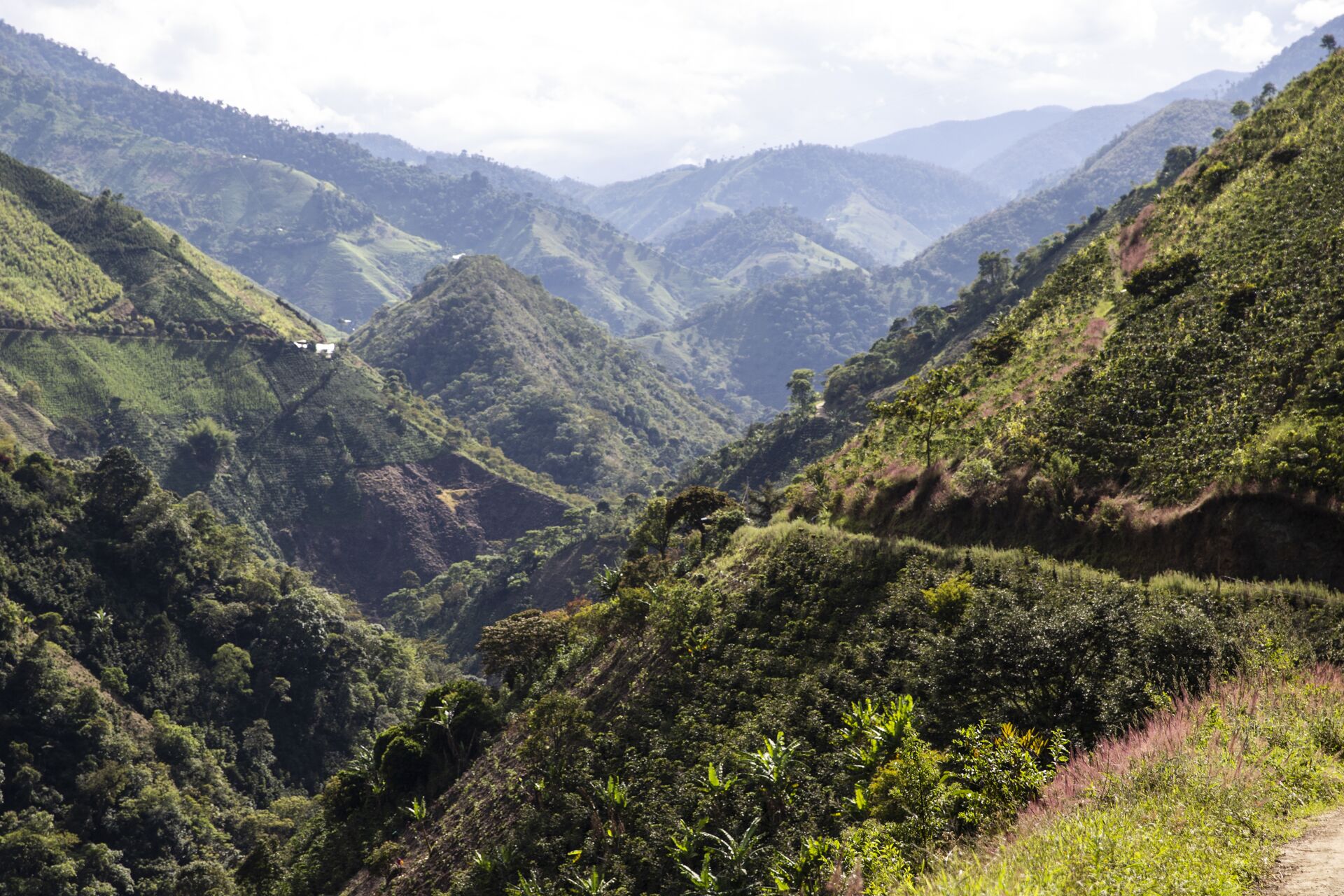 2019.12.10_La Leona, Gaitania. Tres Rayas. Nasa, Colombia.-106.jpg