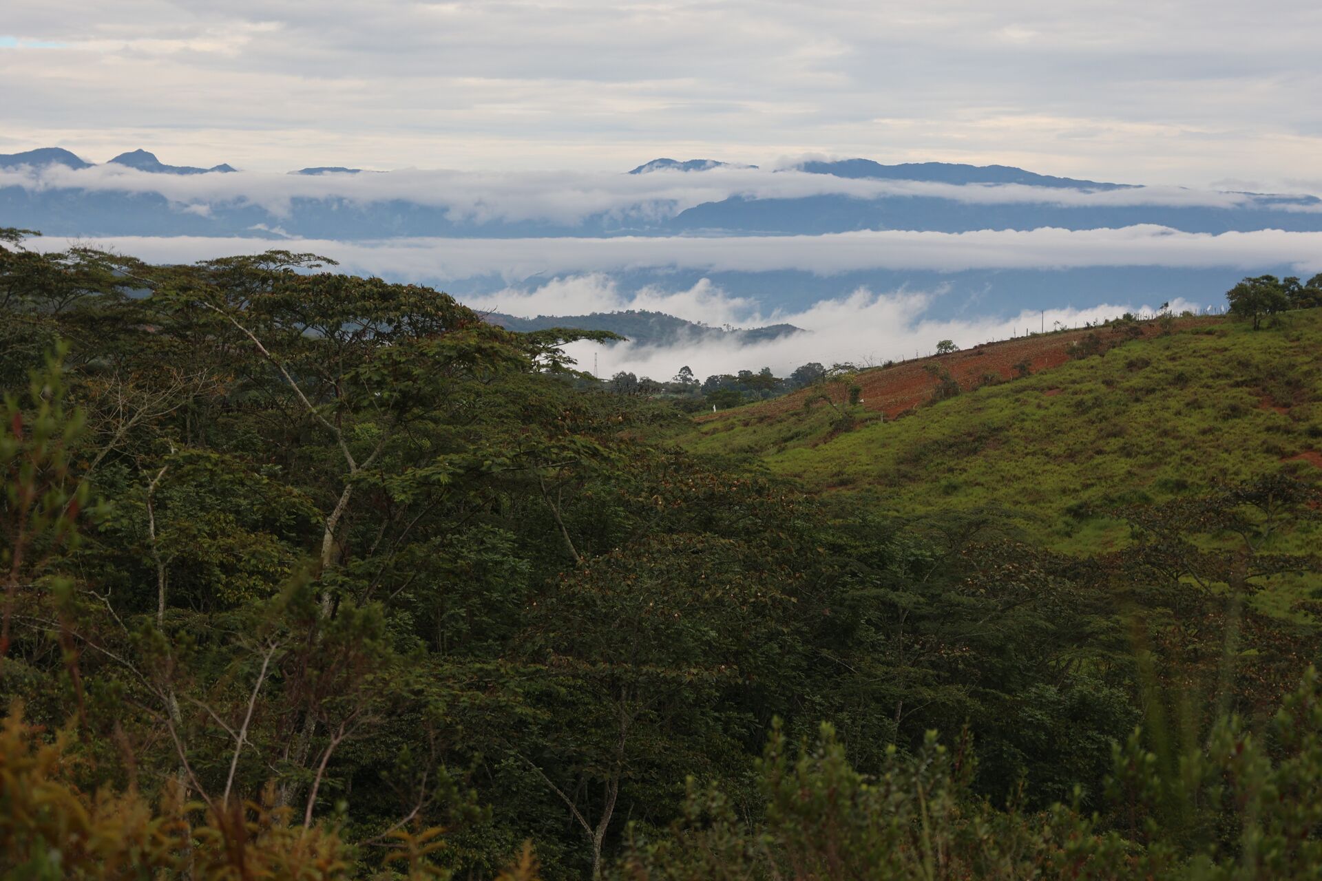 La Pradera