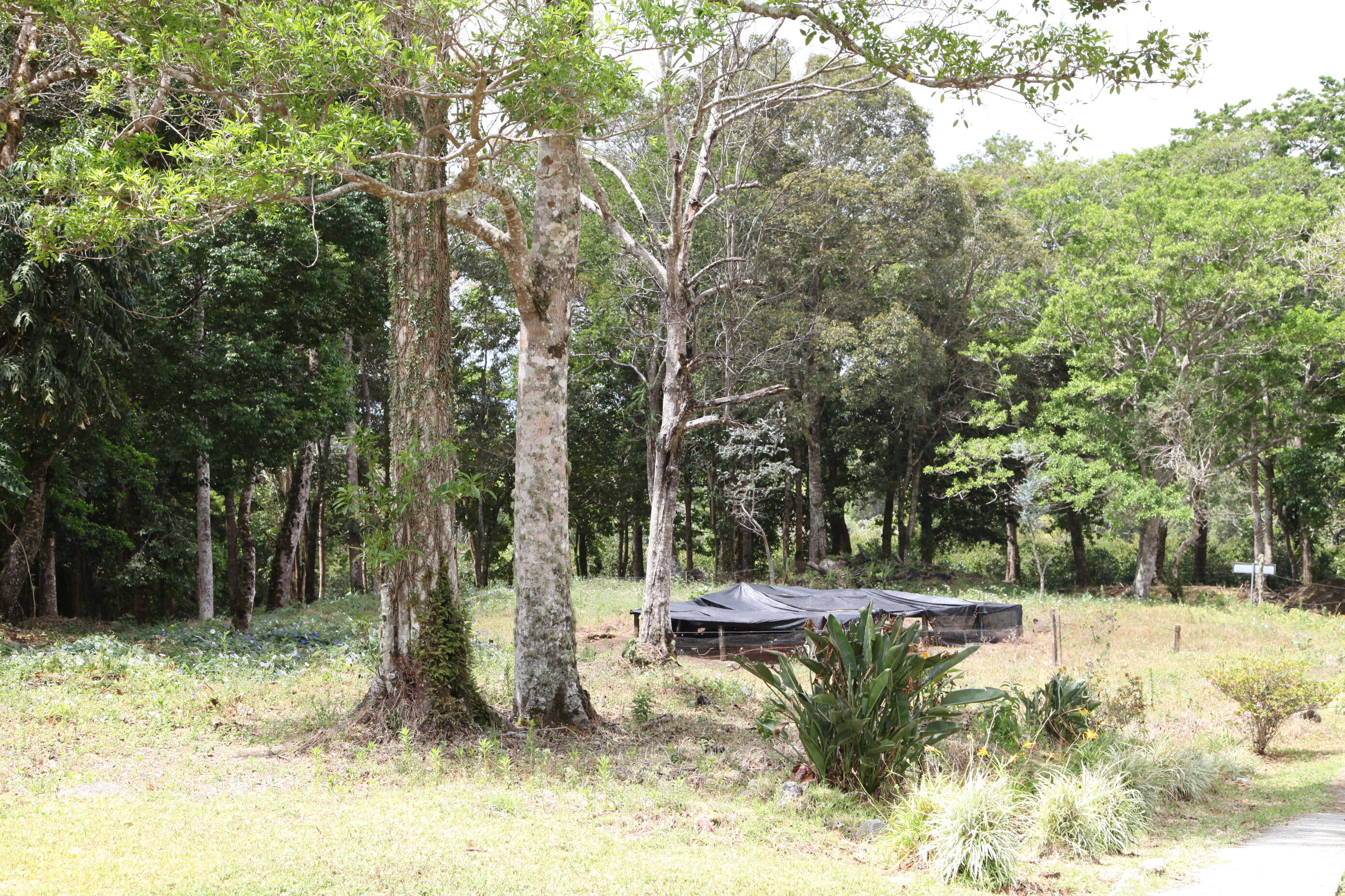 las-gallardo-11_51844253056_o.jpg