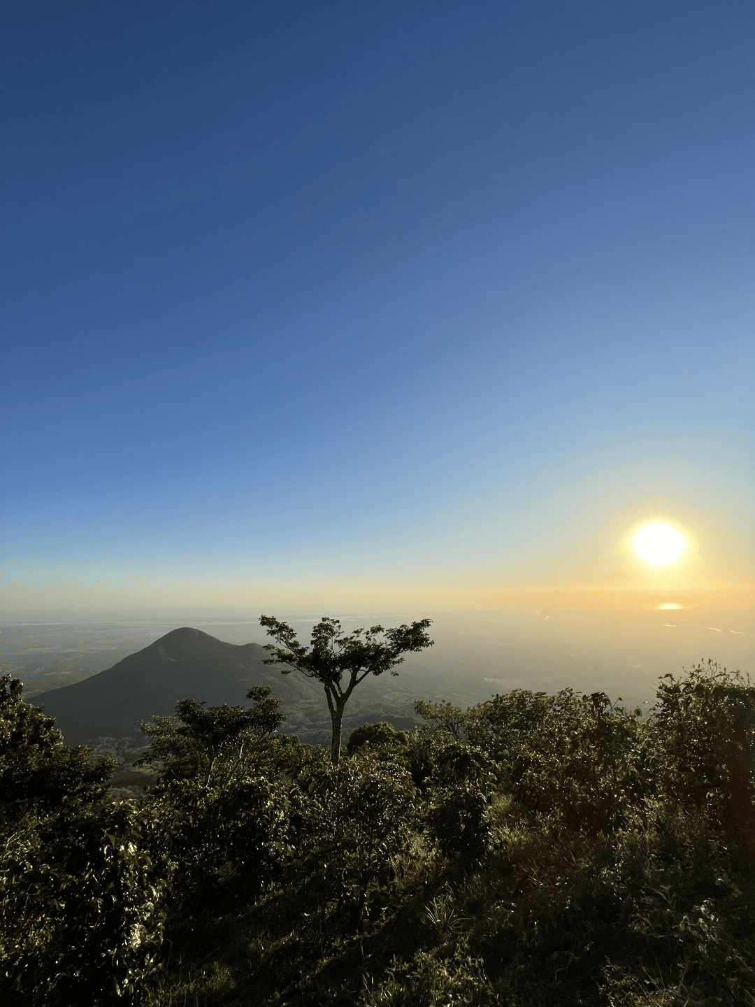 Las Palmas (12).png