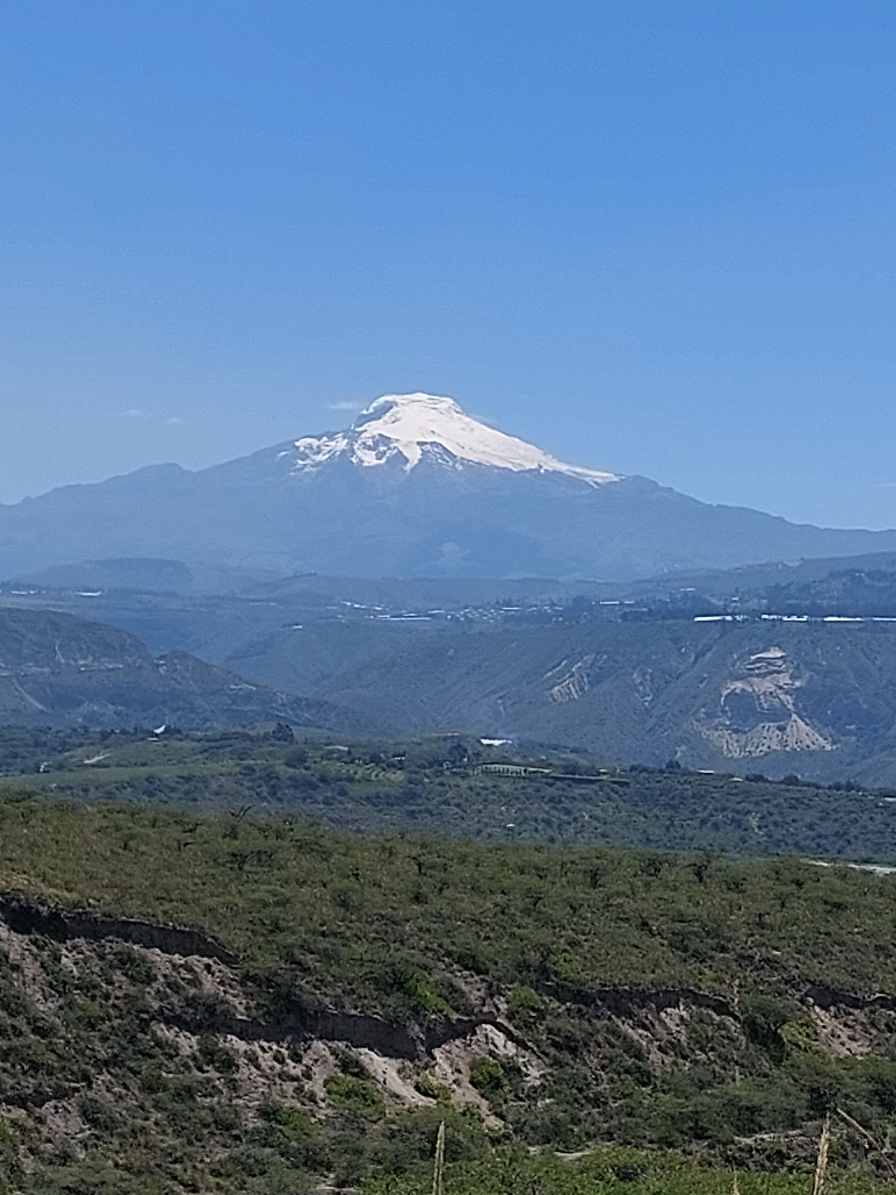 20260320_110630.jpg