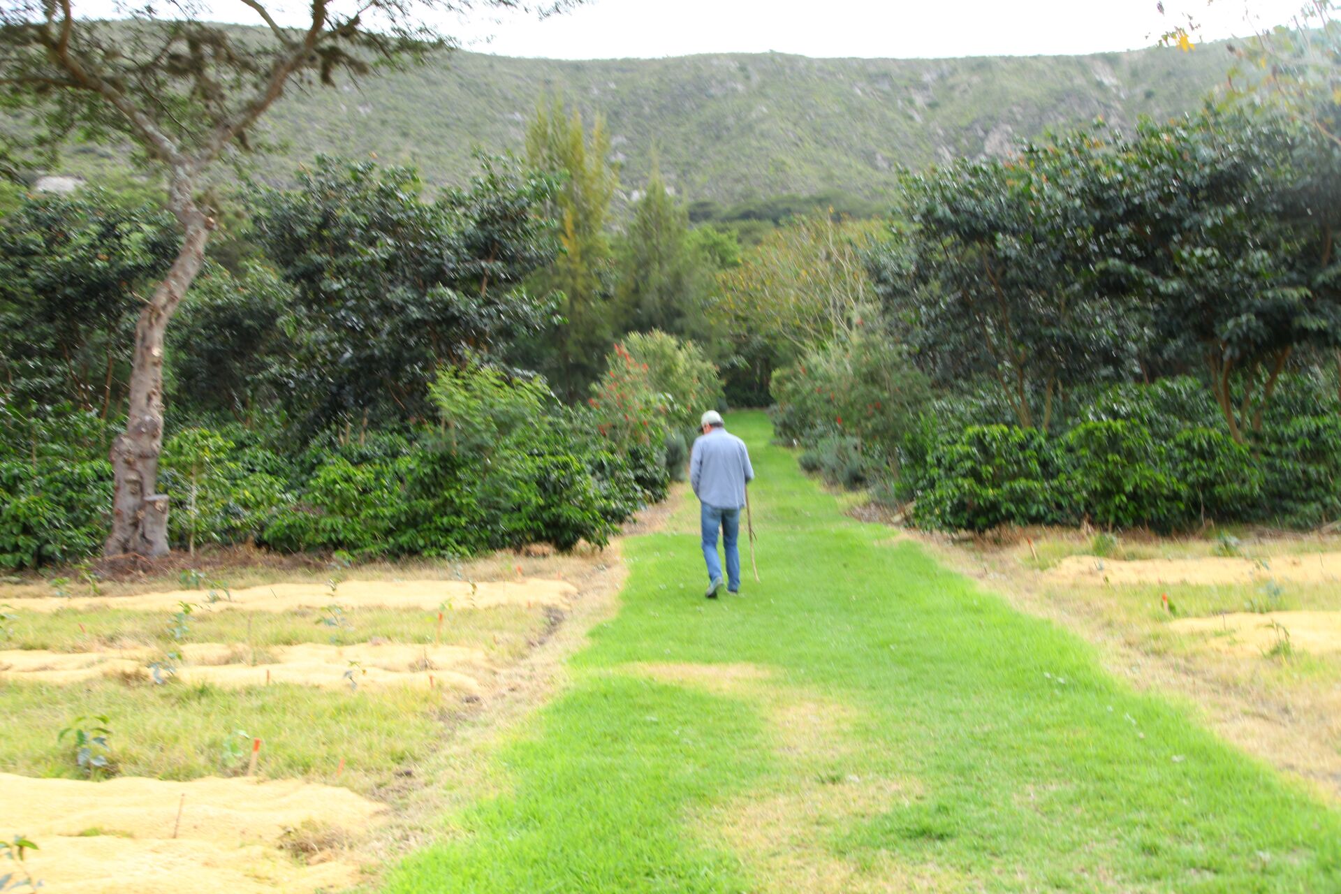 Las Terrazas del Pisque
