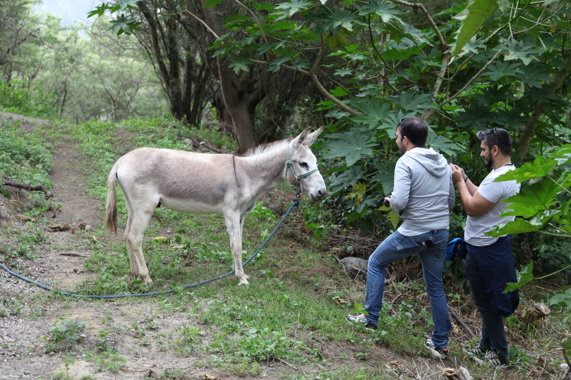 Las Terrazas del Pisque