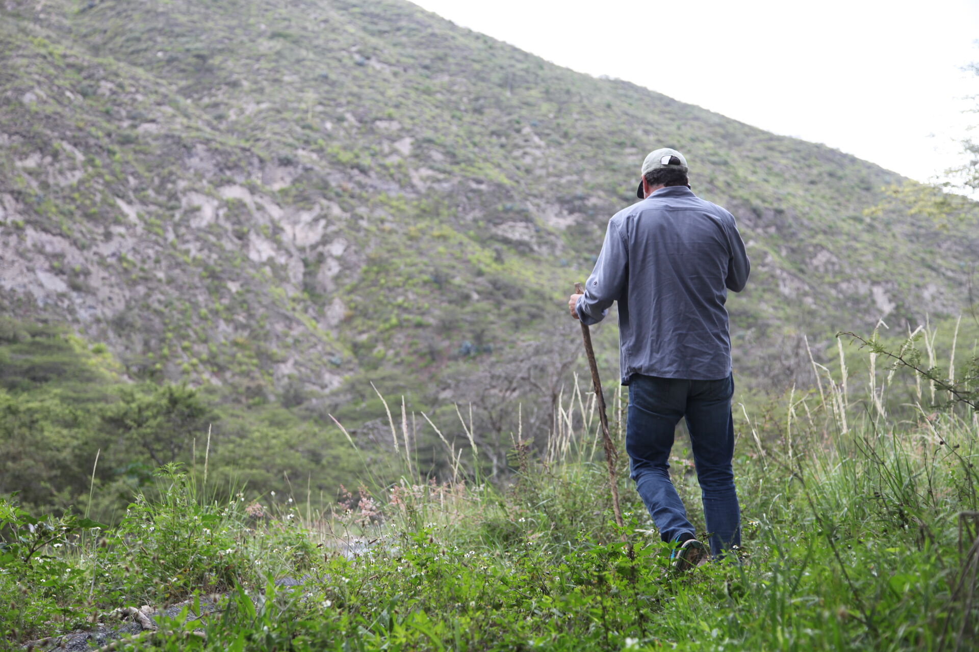 ECUADOR - TERRAZAS DEL PISQUE (17).jpg