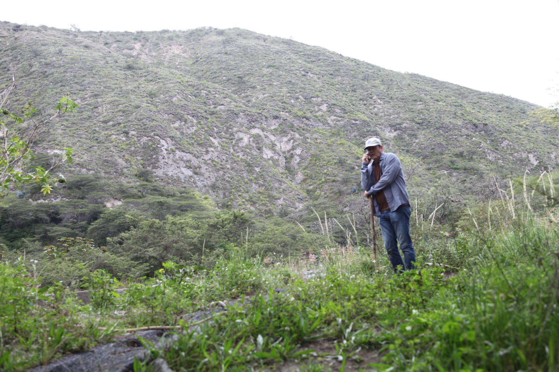 Las Terrazas del Pisque