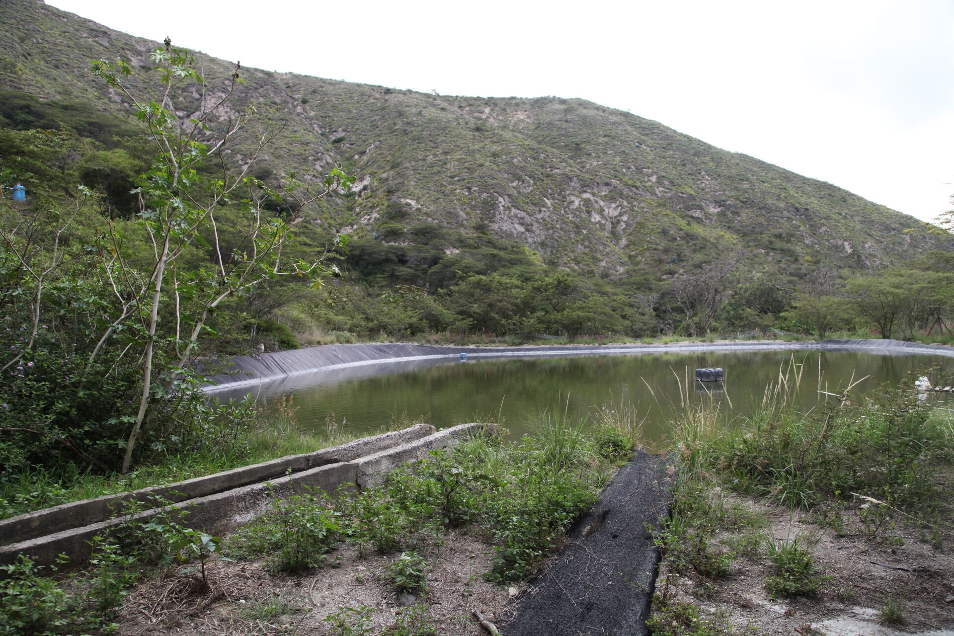 Las Terrazas del Pisque