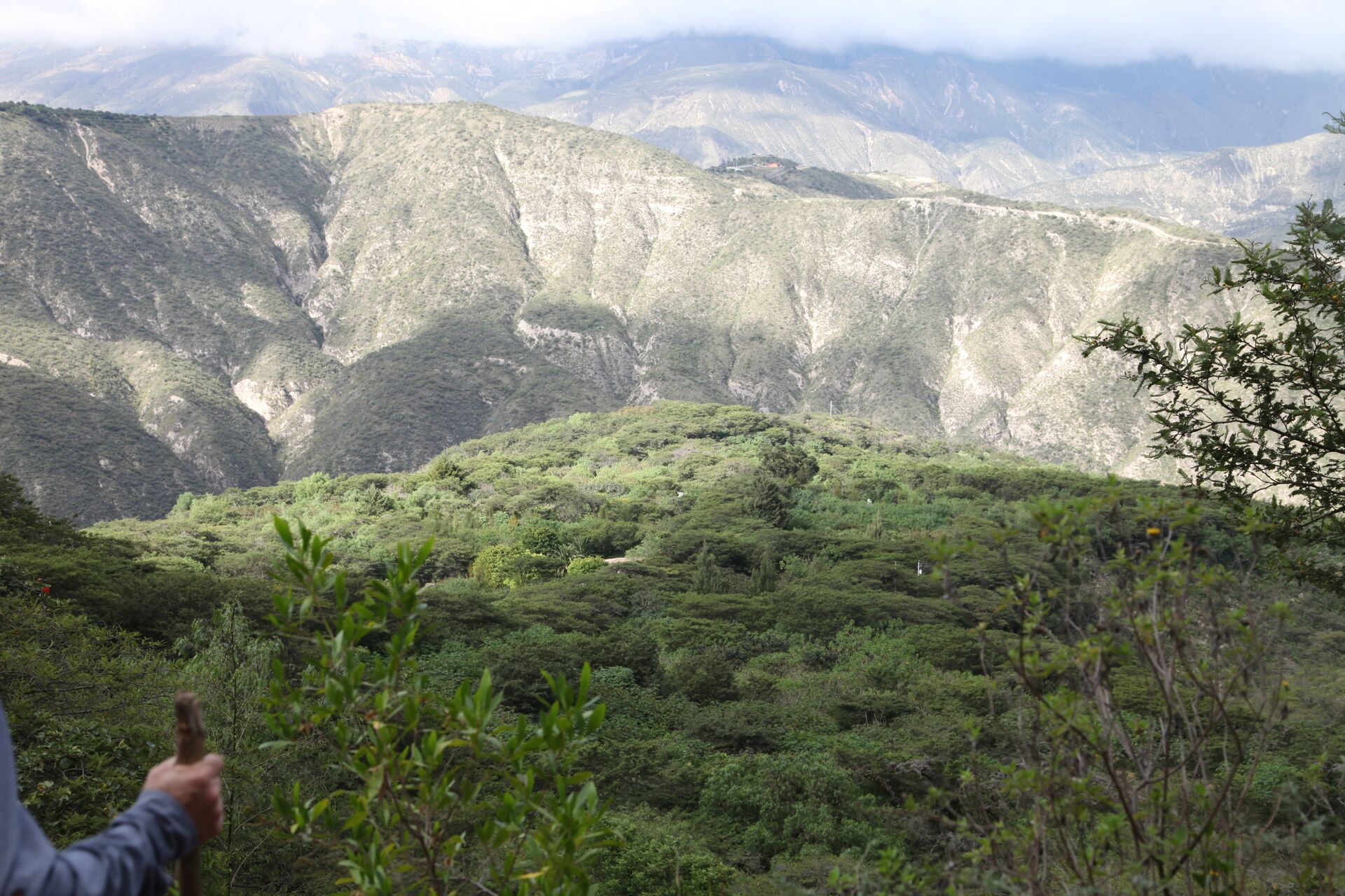Las Terrazas del Pisque