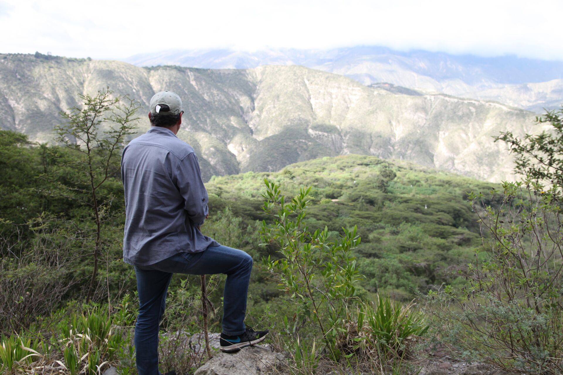 Las Terrazas del Pisque