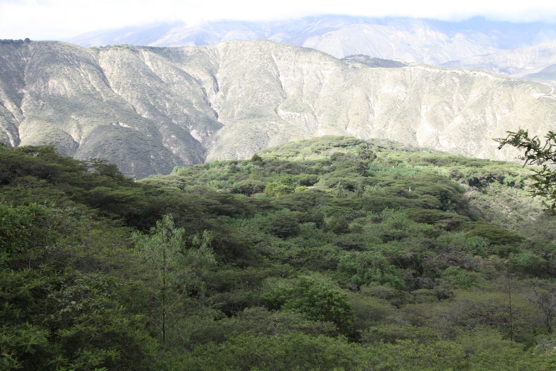 Las Terrazas del Pisque