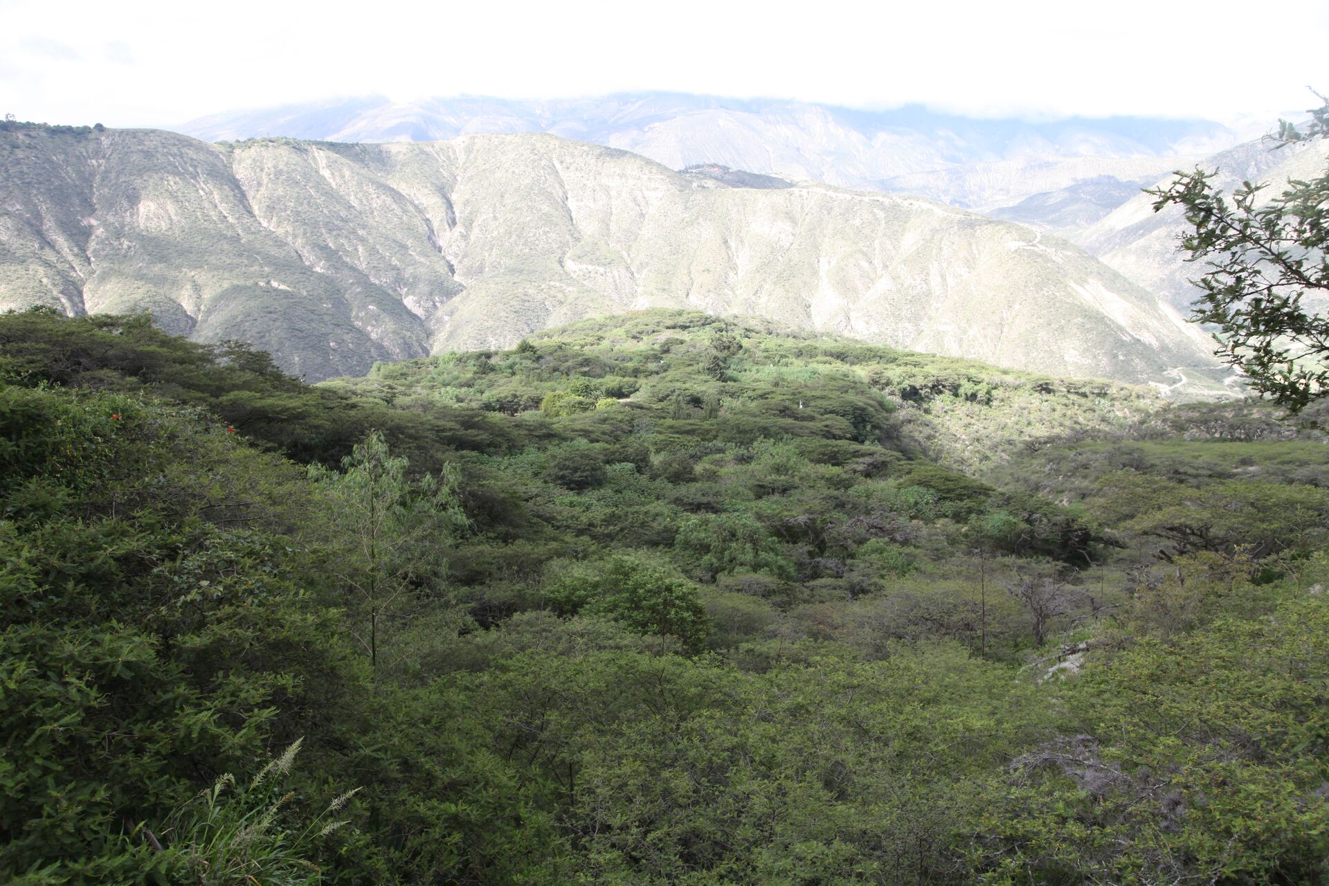 Las Terrazas del Pisque