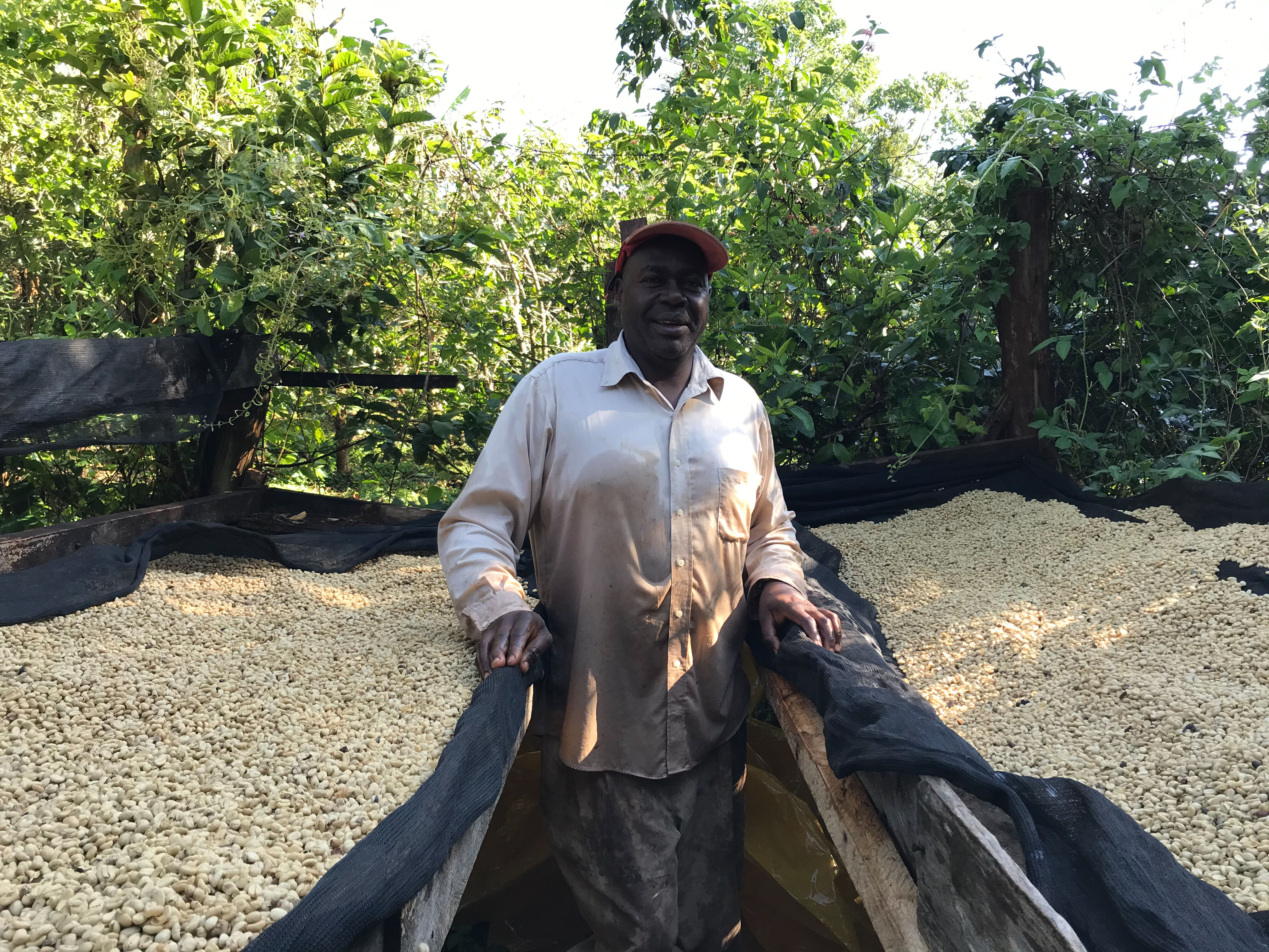 charles-mangua---mbari-estate_51749439487_o.jpg