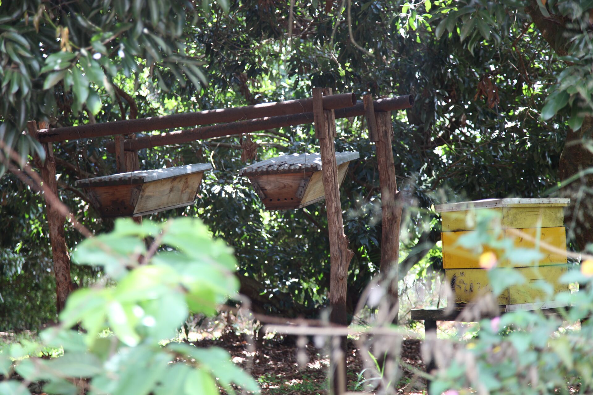 Oreti Estate