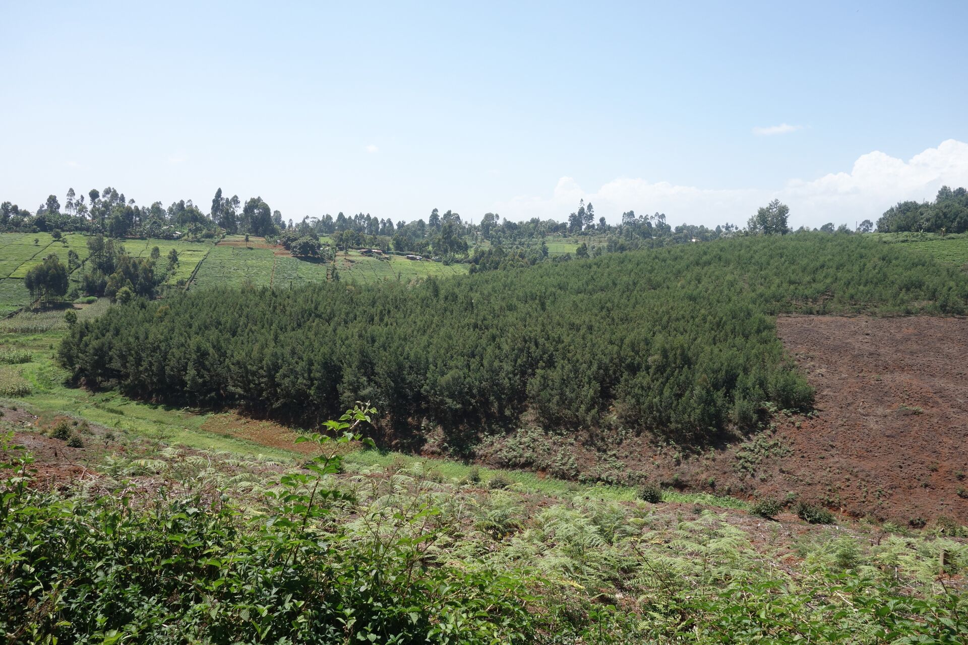 Oreti Estate