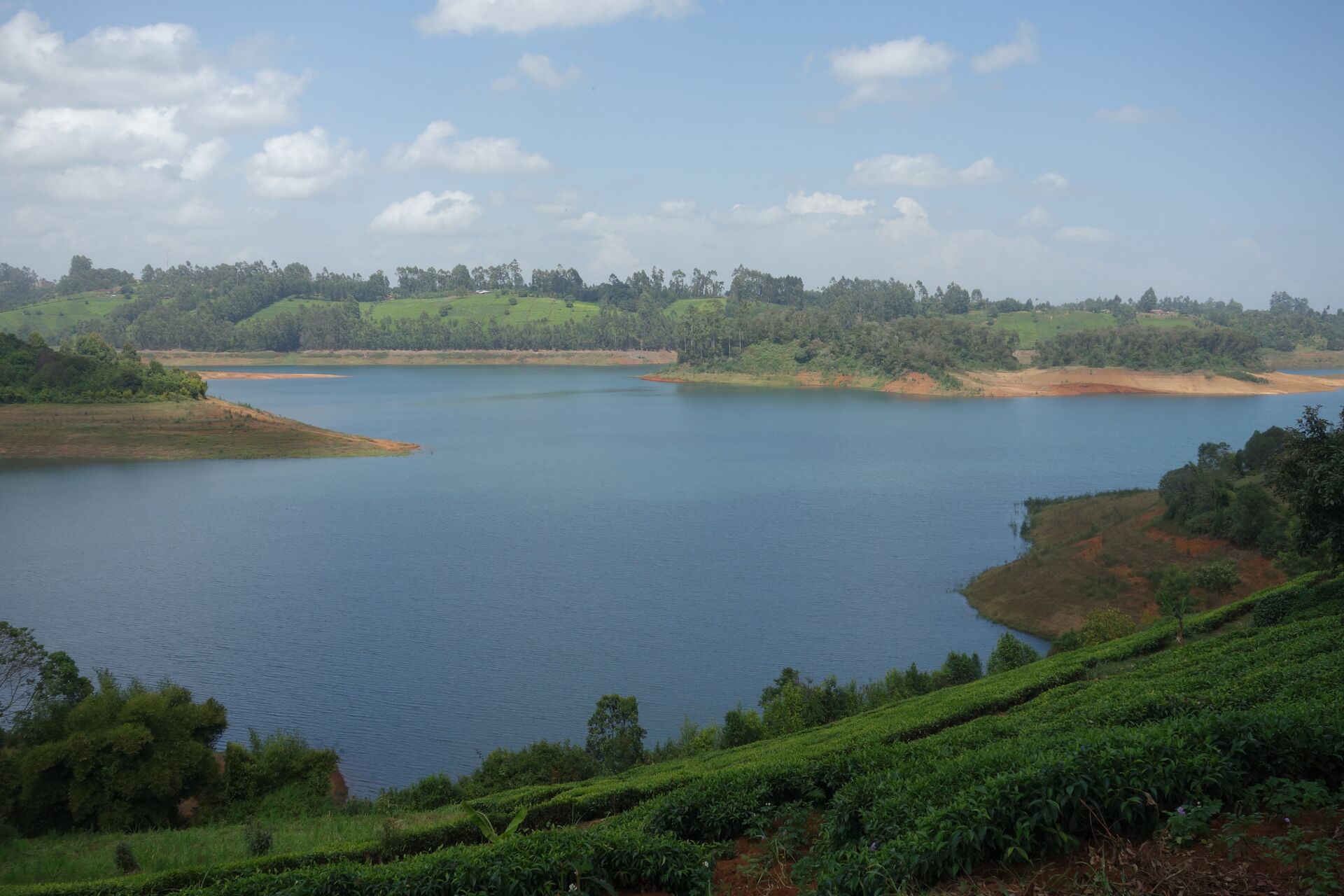 Oreti Estate