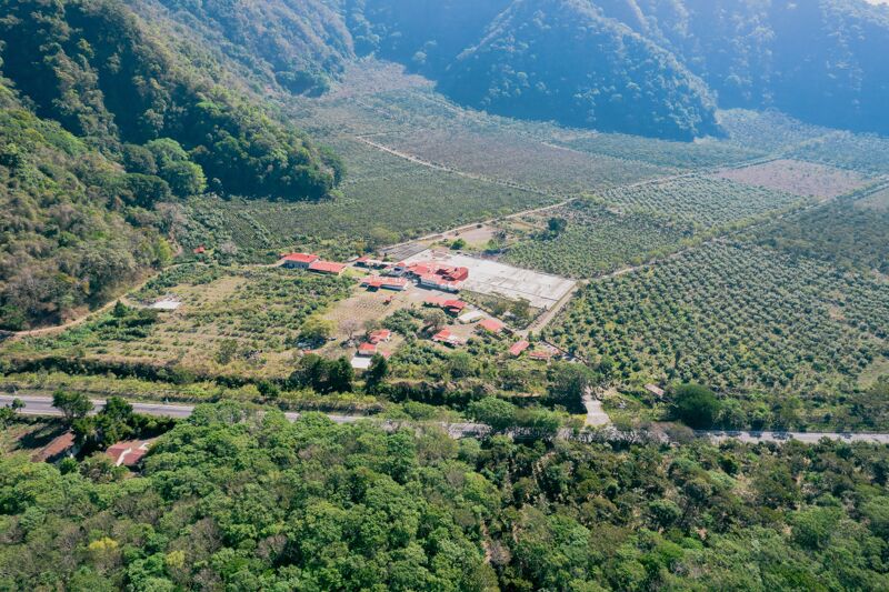 Pampojila