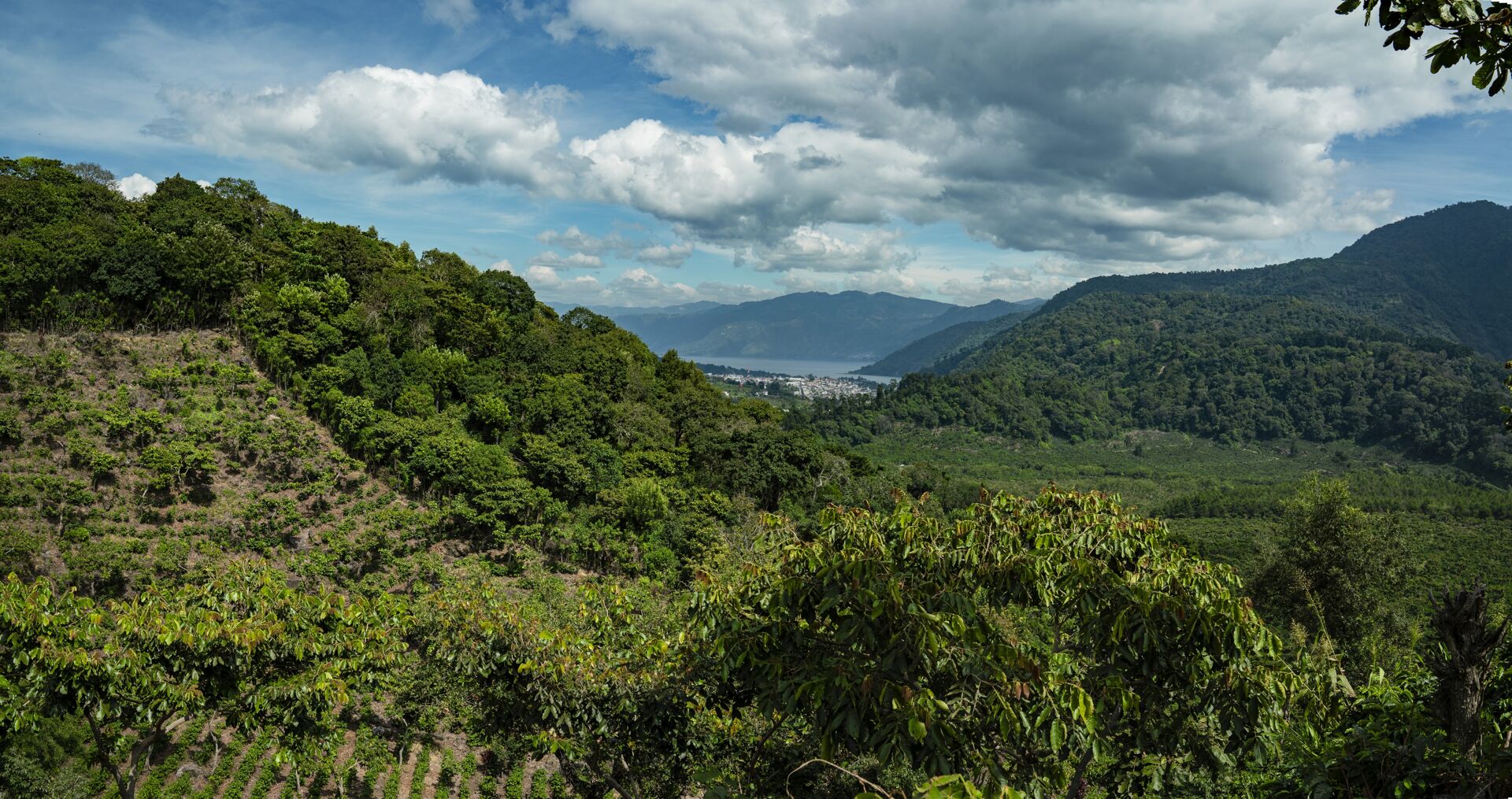 Pampojila