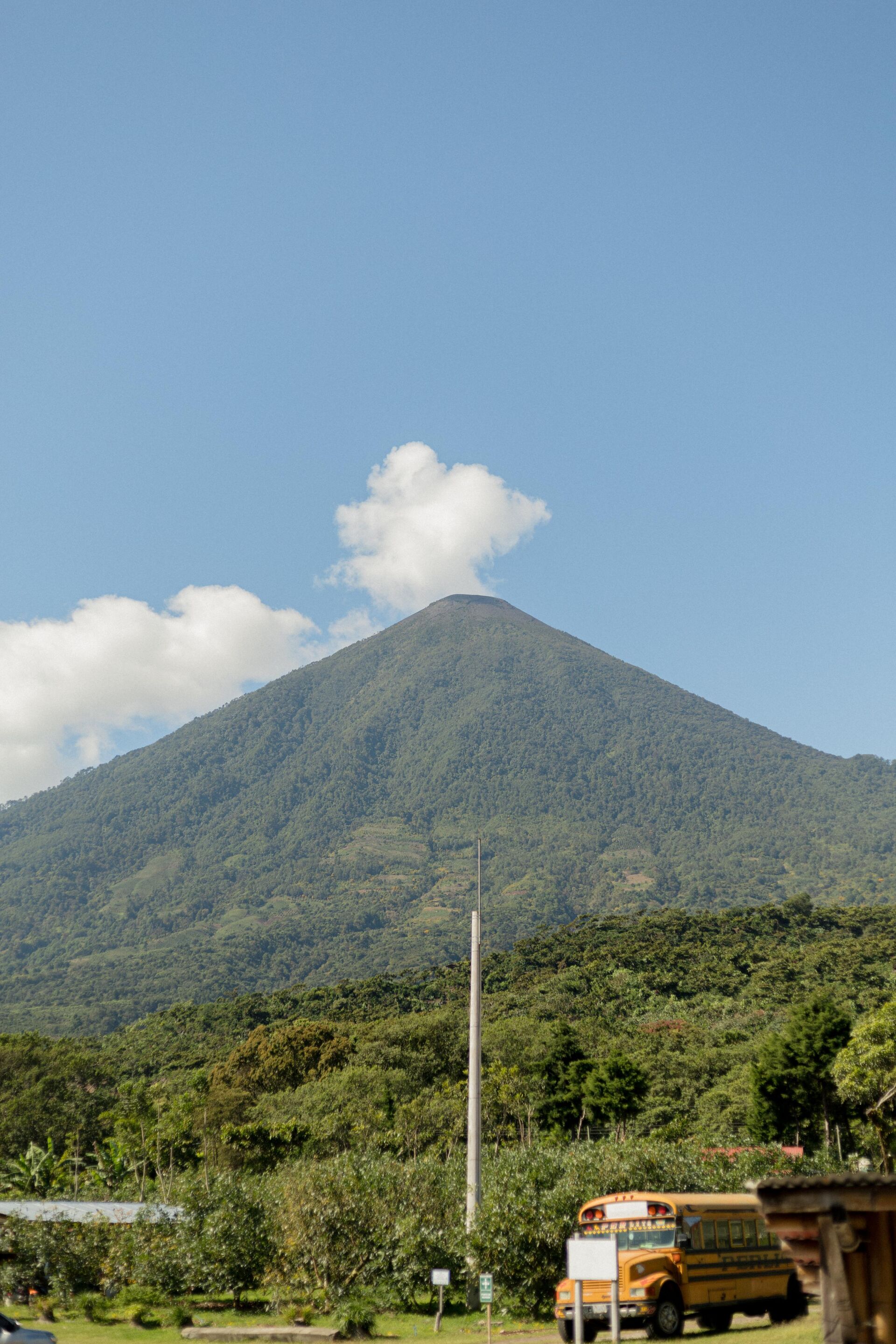 Pampojila
