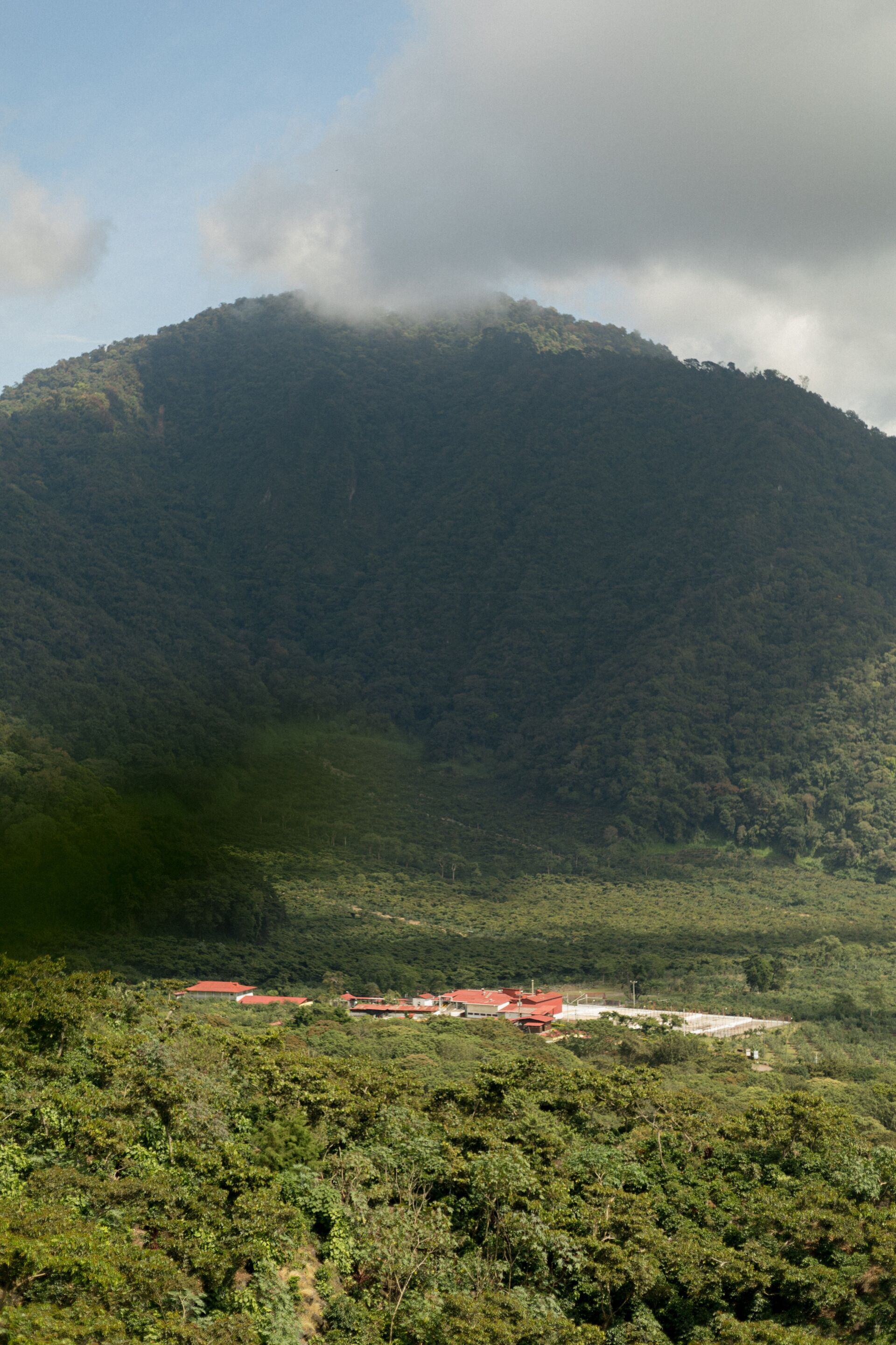Pampojila