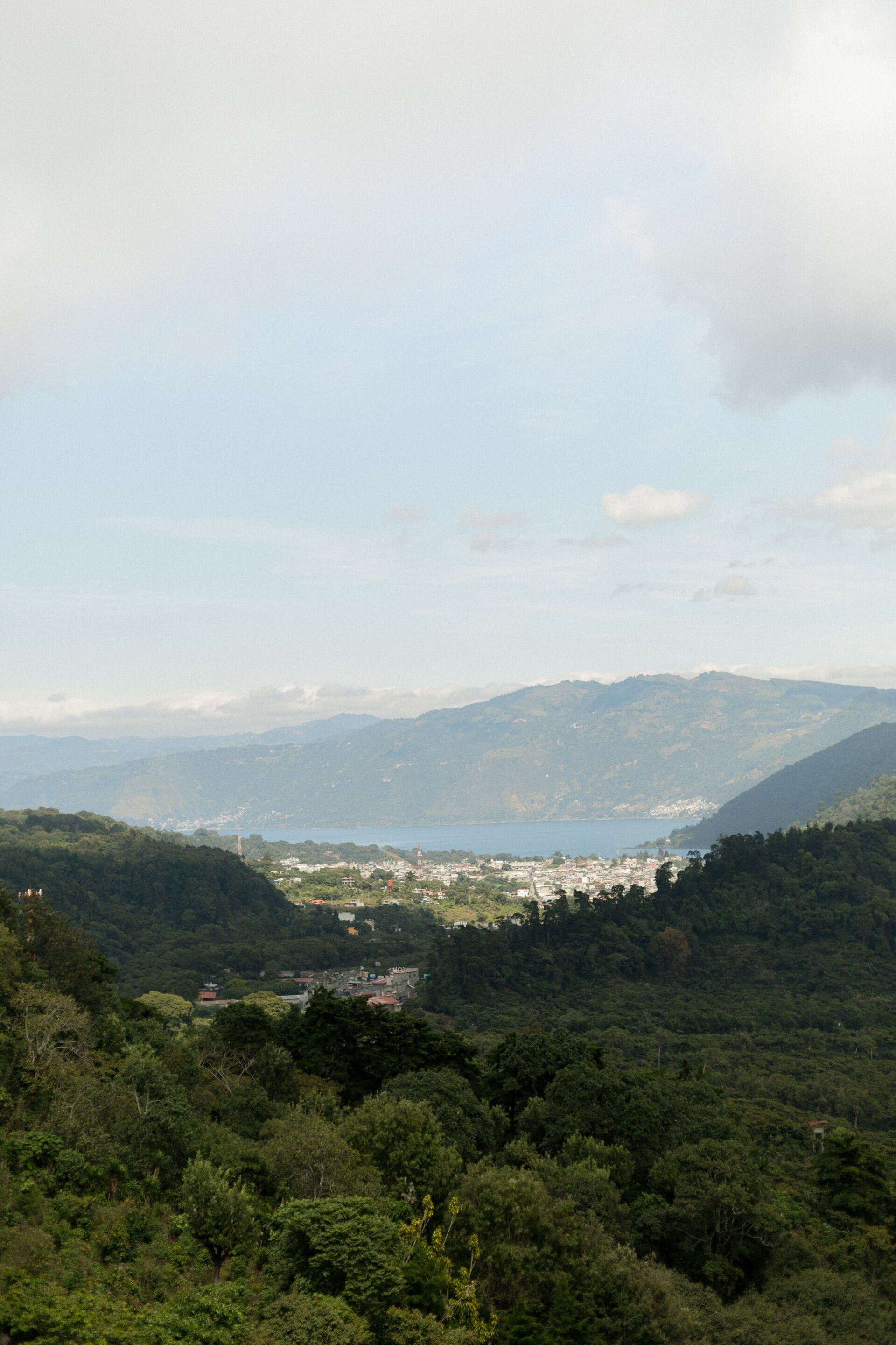 Pampojila