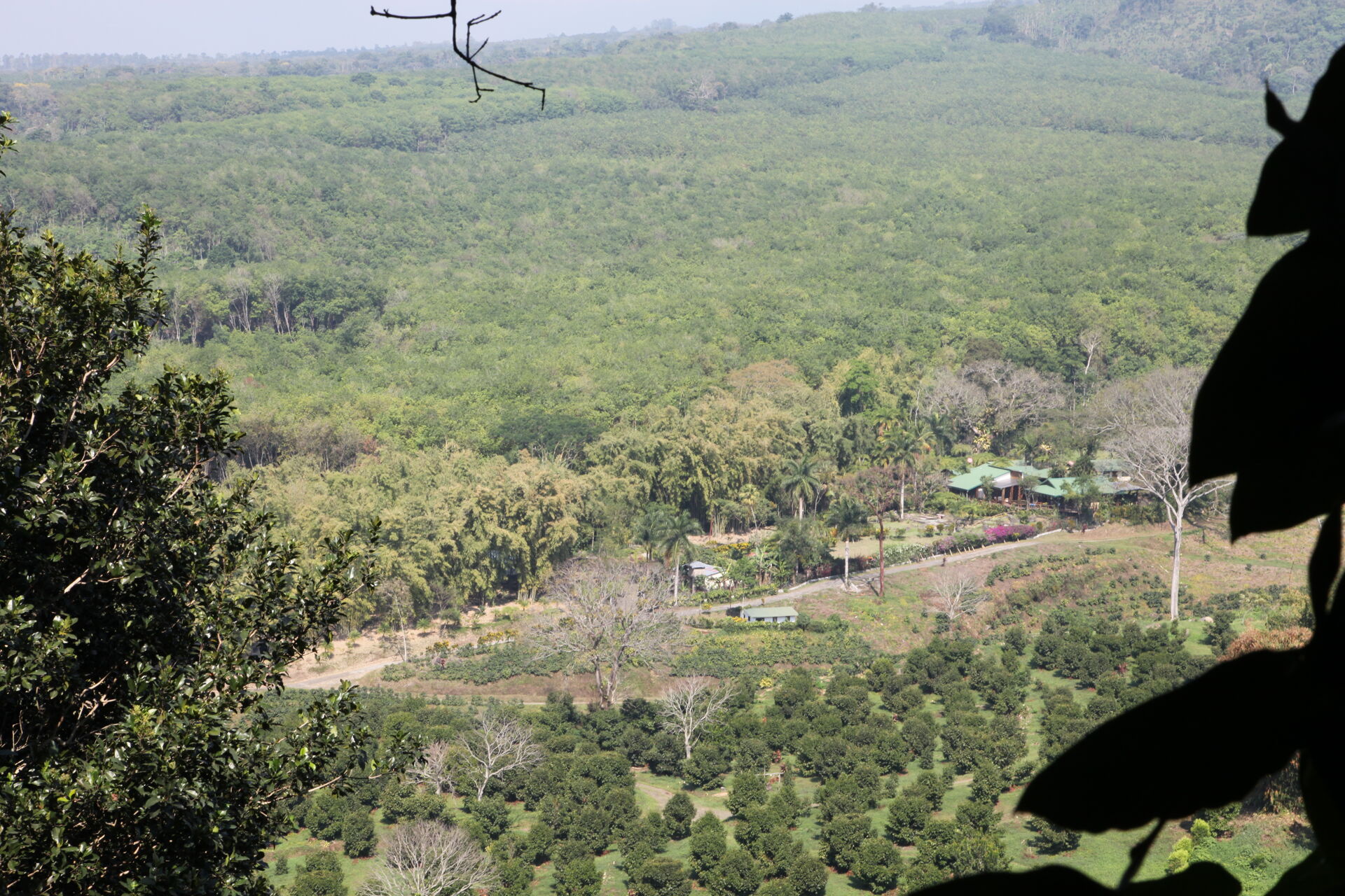 Panama